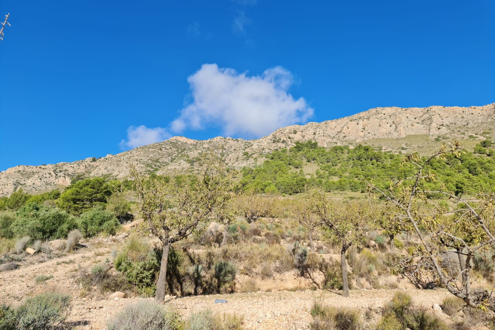 Resale - Plot / Land - La Romana - Inland