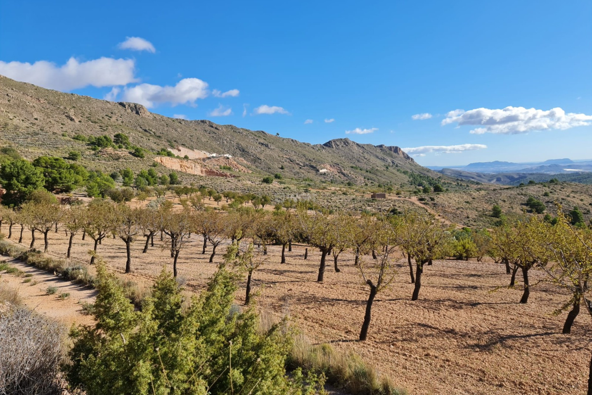 Resale - Plot / Land - La Romana - Inland