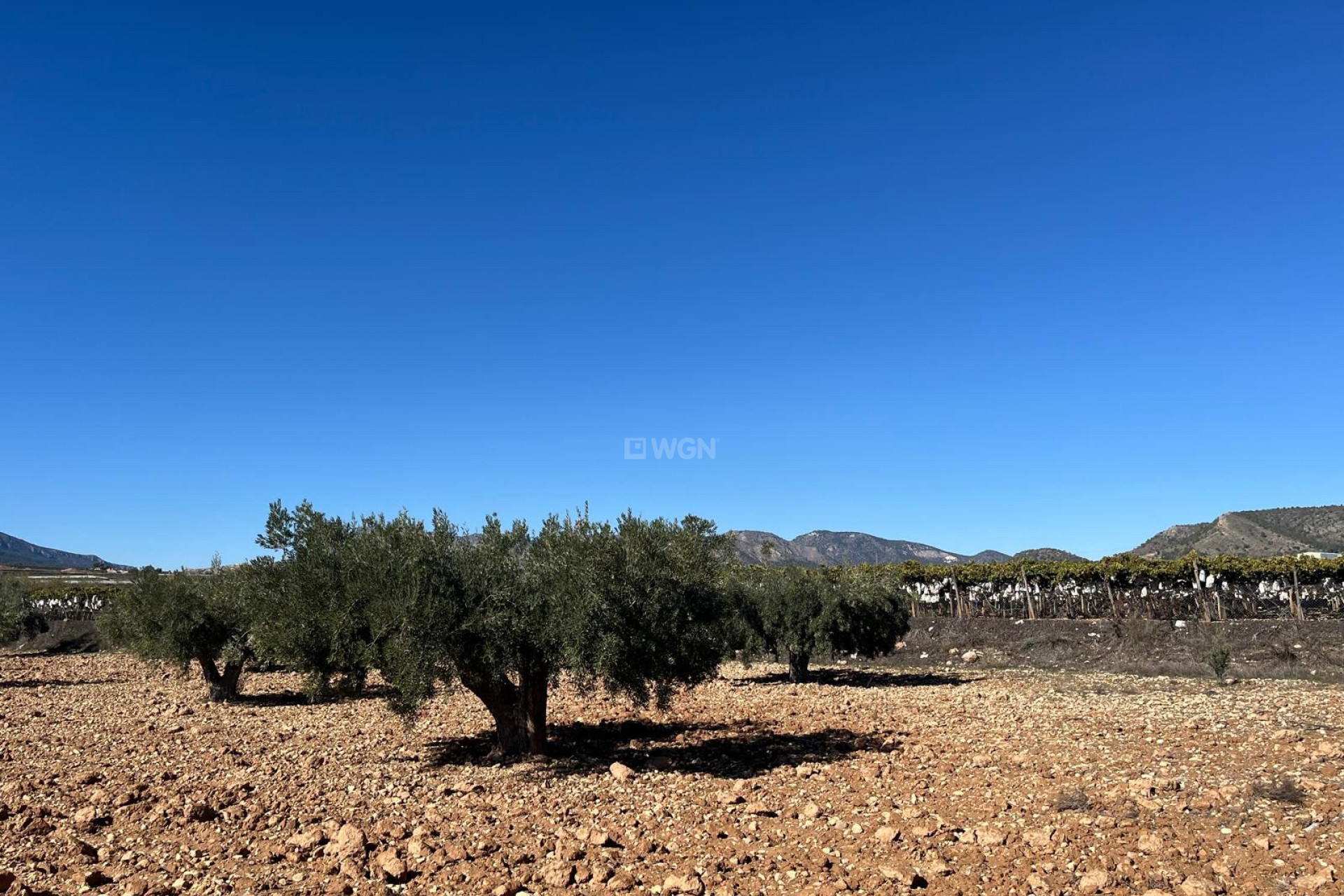 Resale - Plot / Land - La Romana - Inland