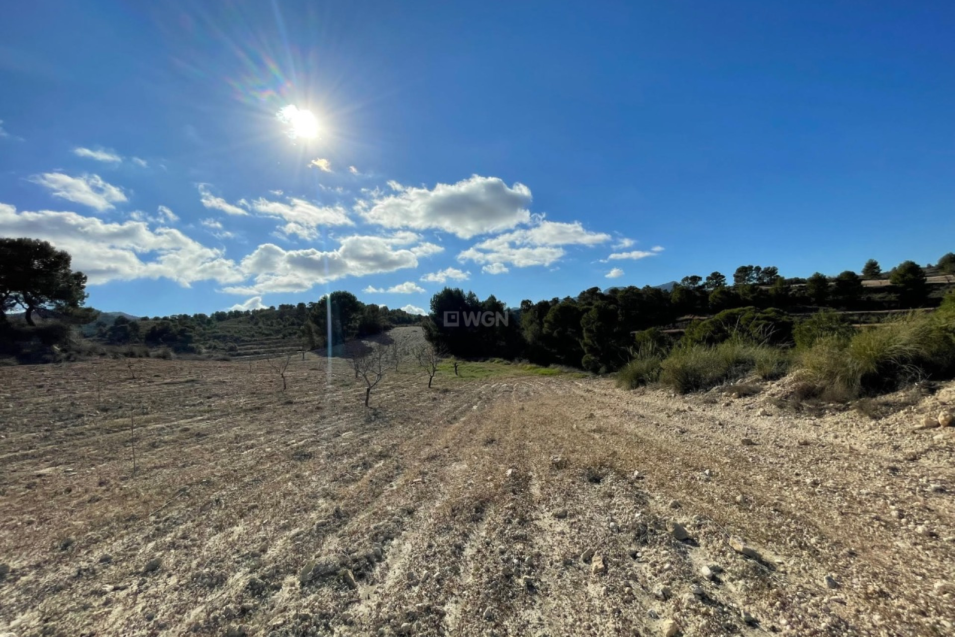 Resale - Plot / Land - La Zarza - Inland