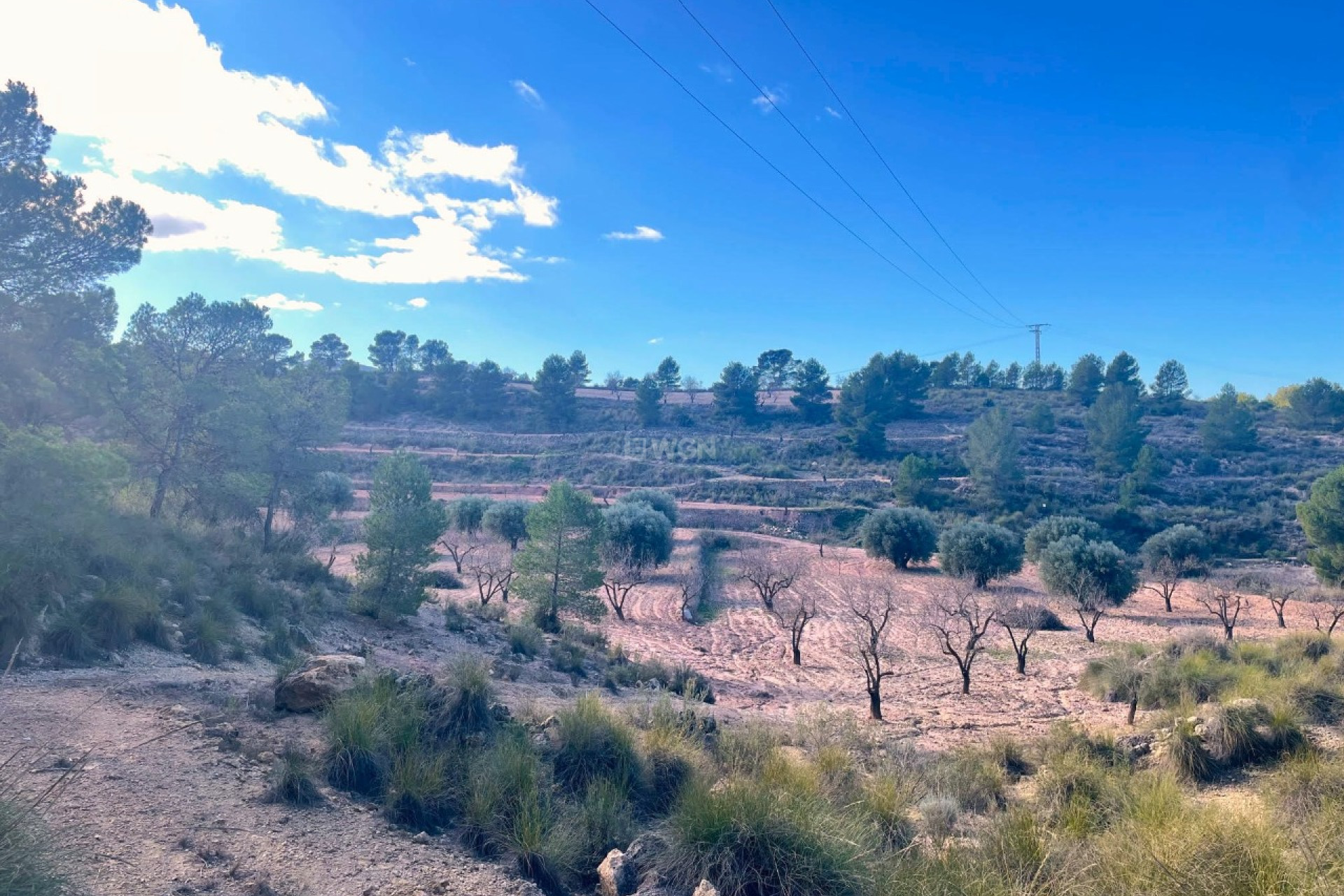 Resale - Plot / Land - La Zarza - Inland