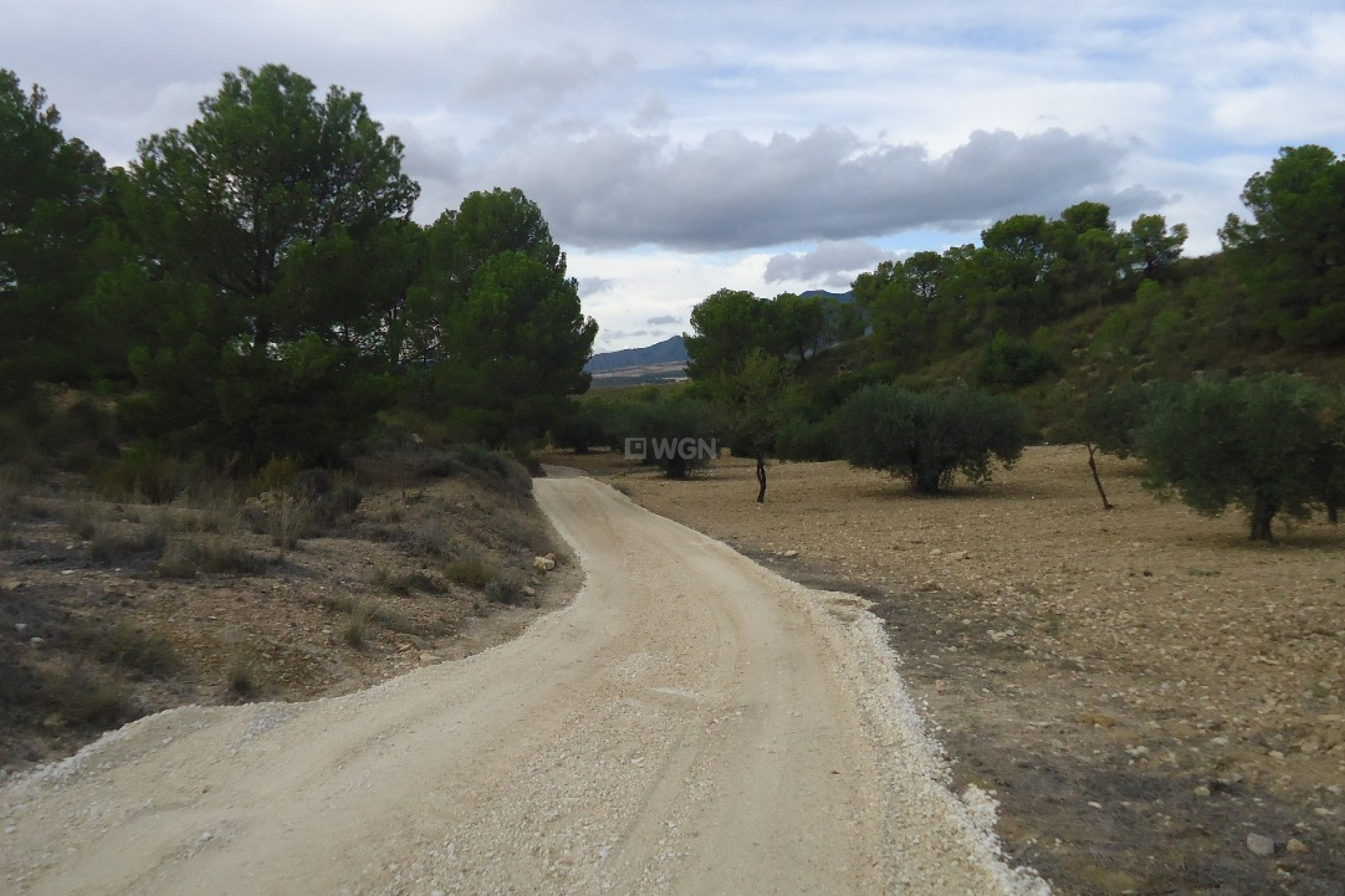 Resale - Plot / Land - La Zarza - Inland