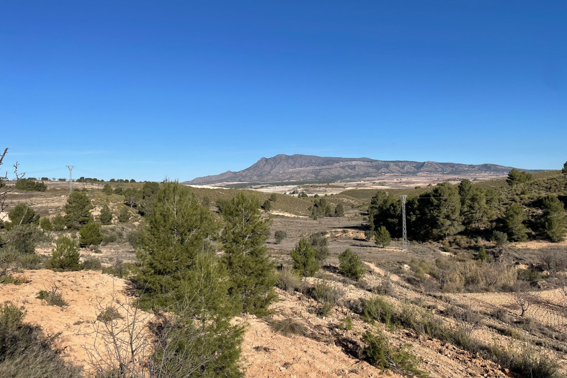 Resale - Plot / Land - La Zarza - Inland