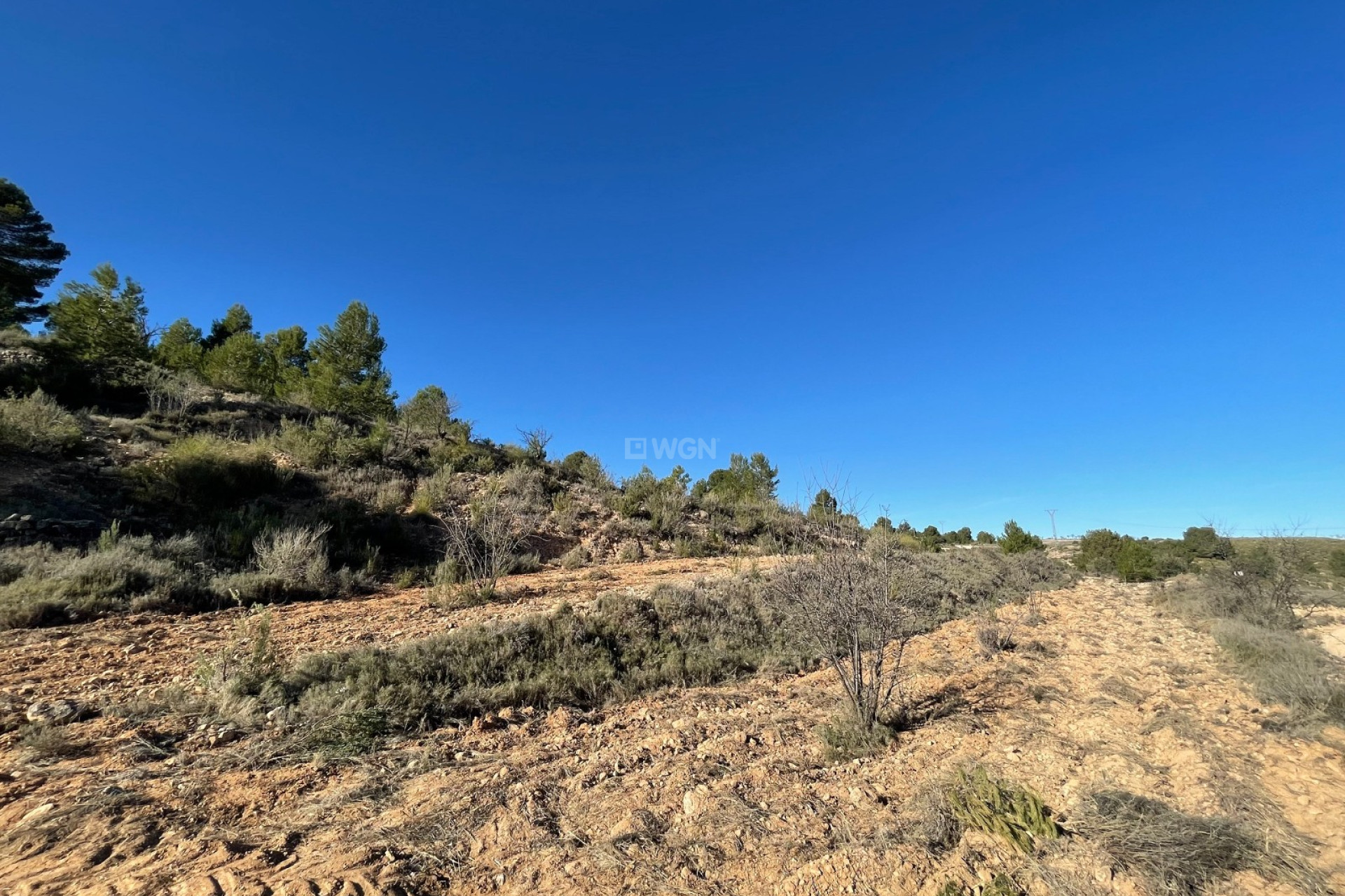 Resale - Plot / Land - La Zarza - Inland