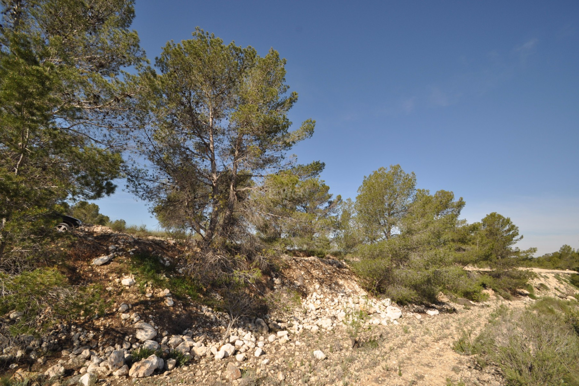 Resale - Plot / Land - La Zarza - Inland