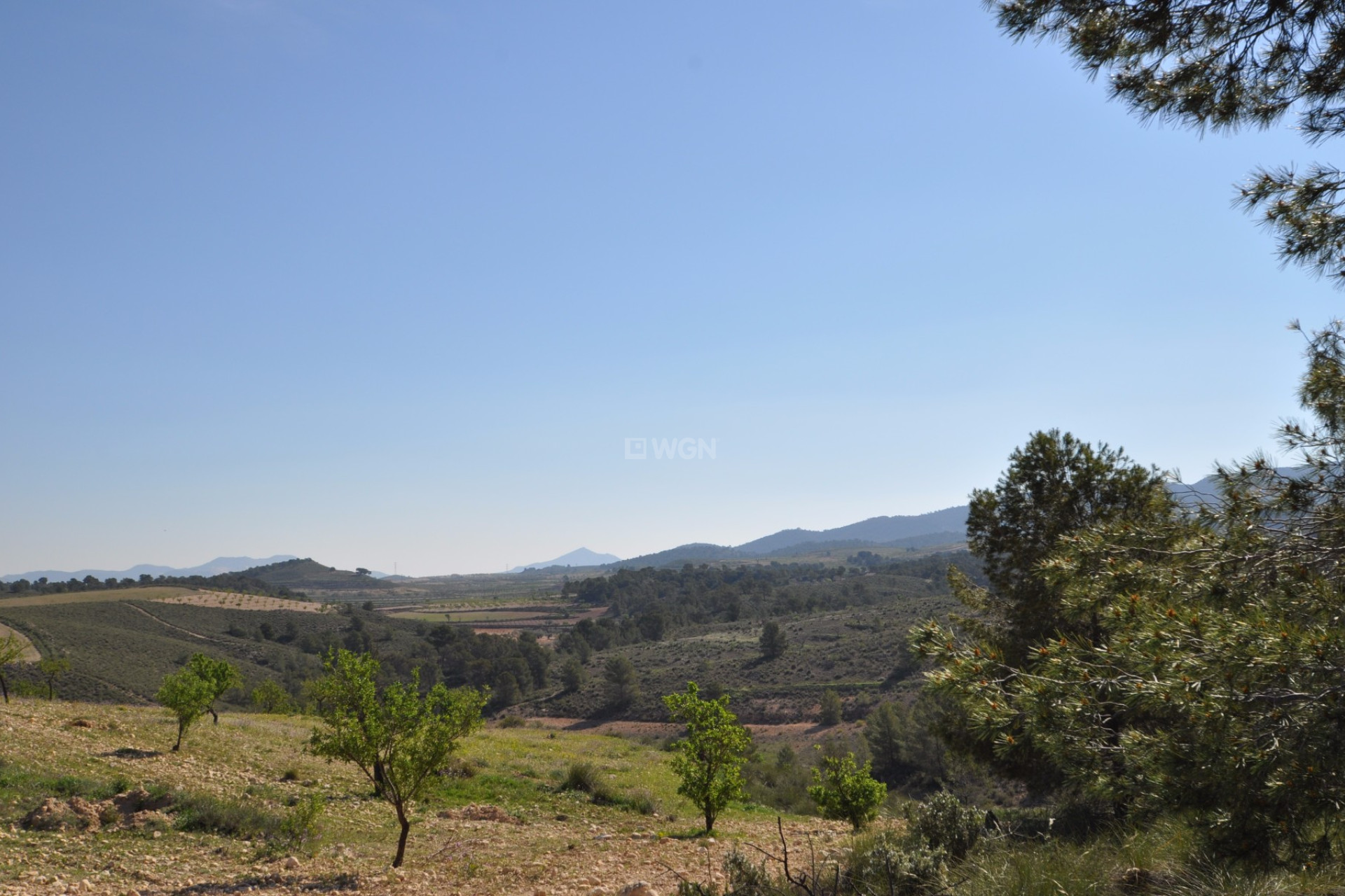 Resale - Plot / Land - La Zarza - Inland
