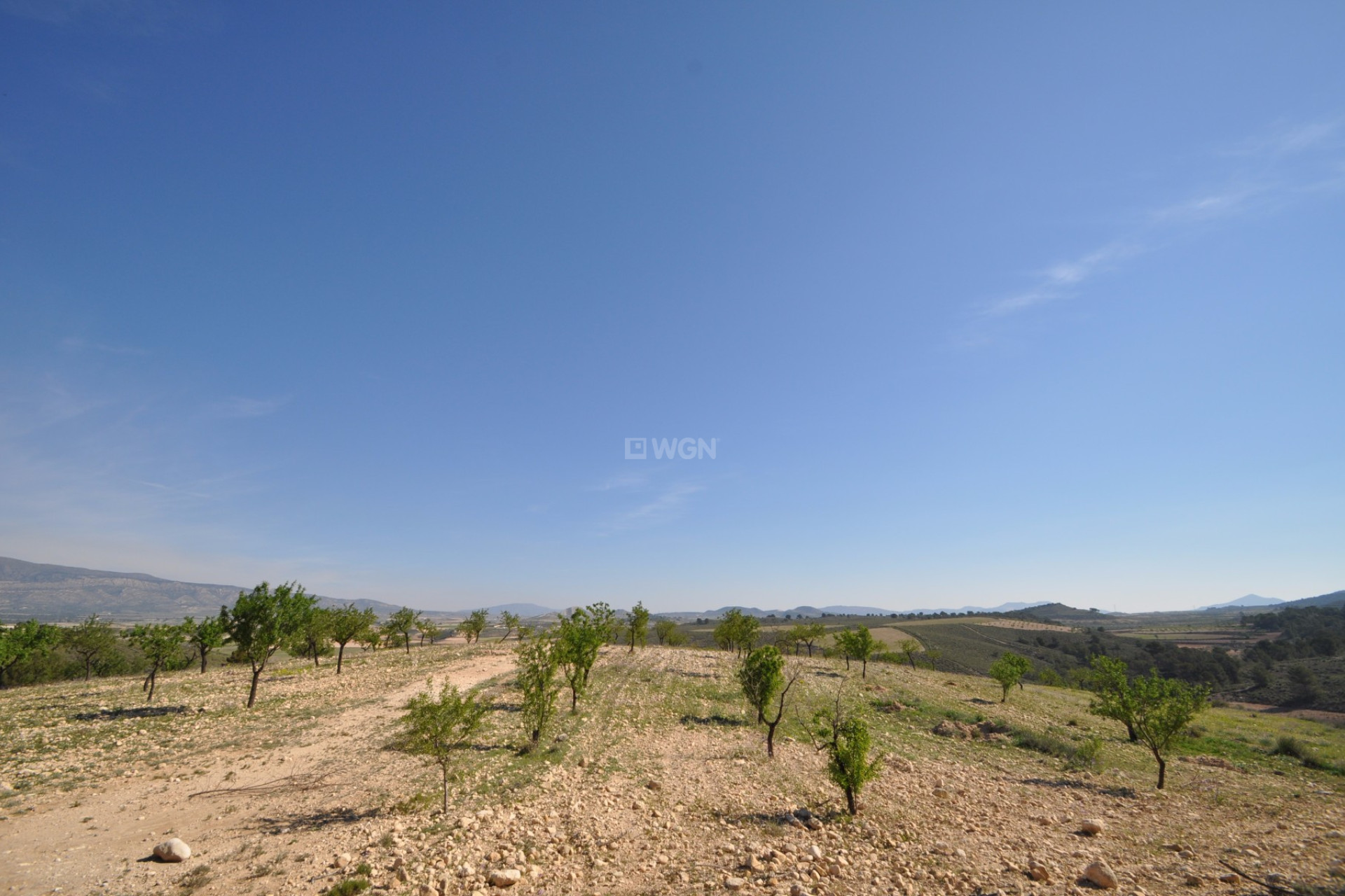 Resale - Plot / Land - La Zarza - Inland
