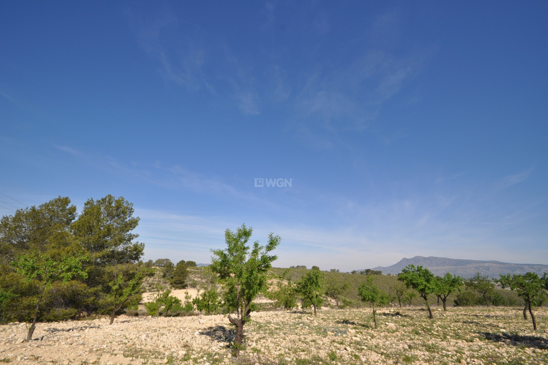 Resale - Plot / Land - La Zarza - Inland