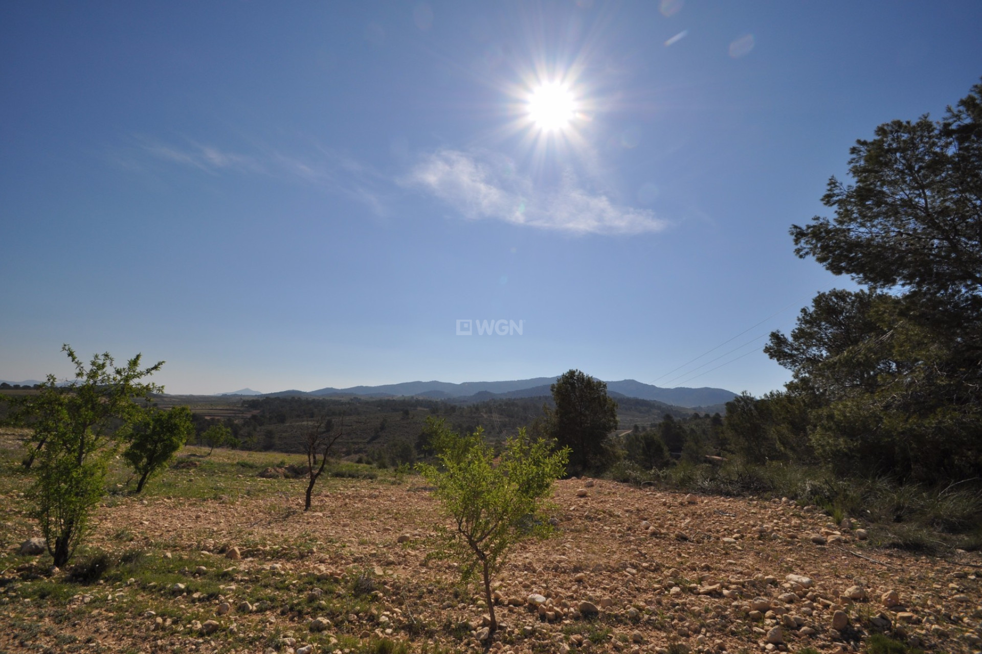 Resale - Plot / Land - La Zarza - Inland