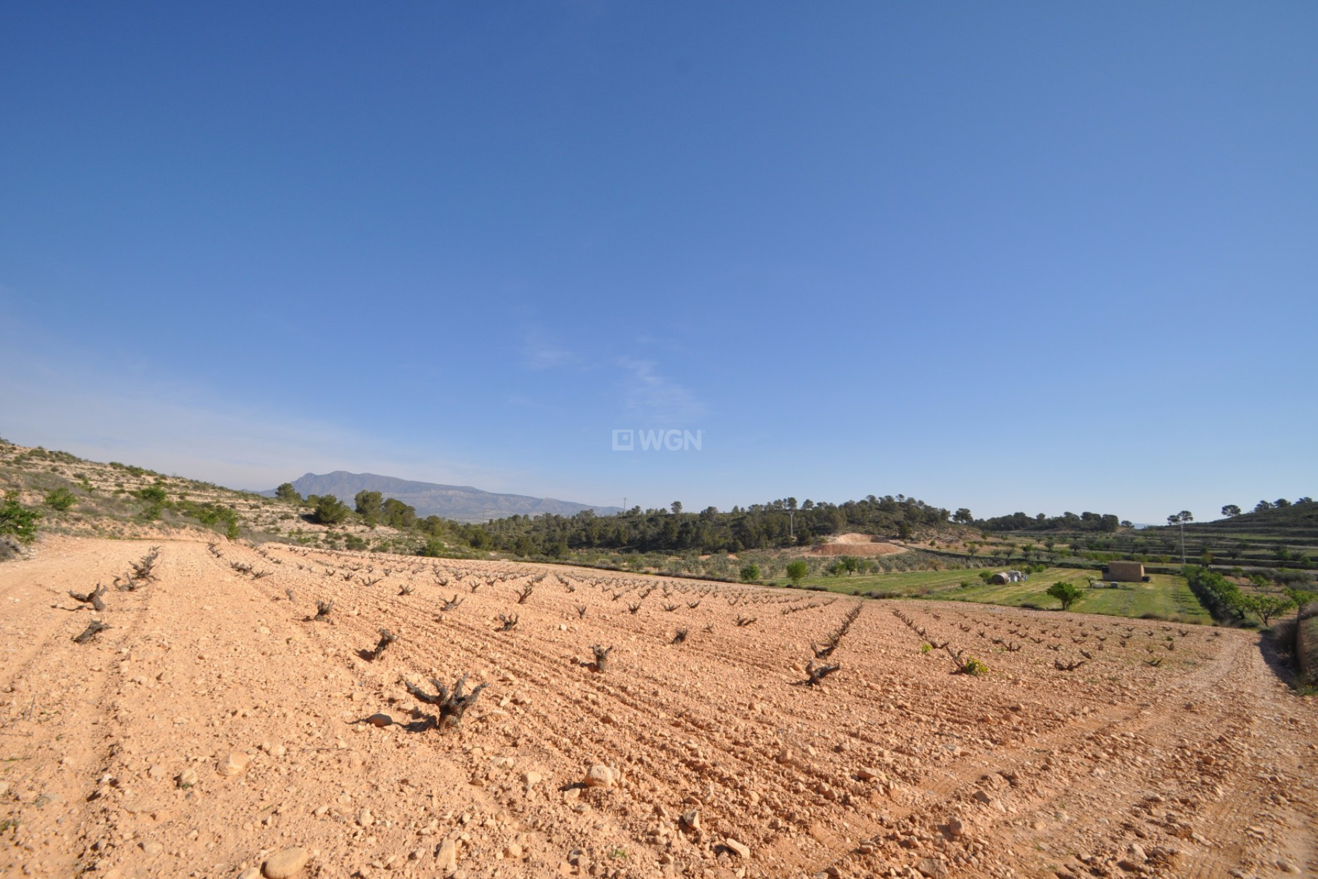 Resale - Plot / Land - La Zarza - Inland