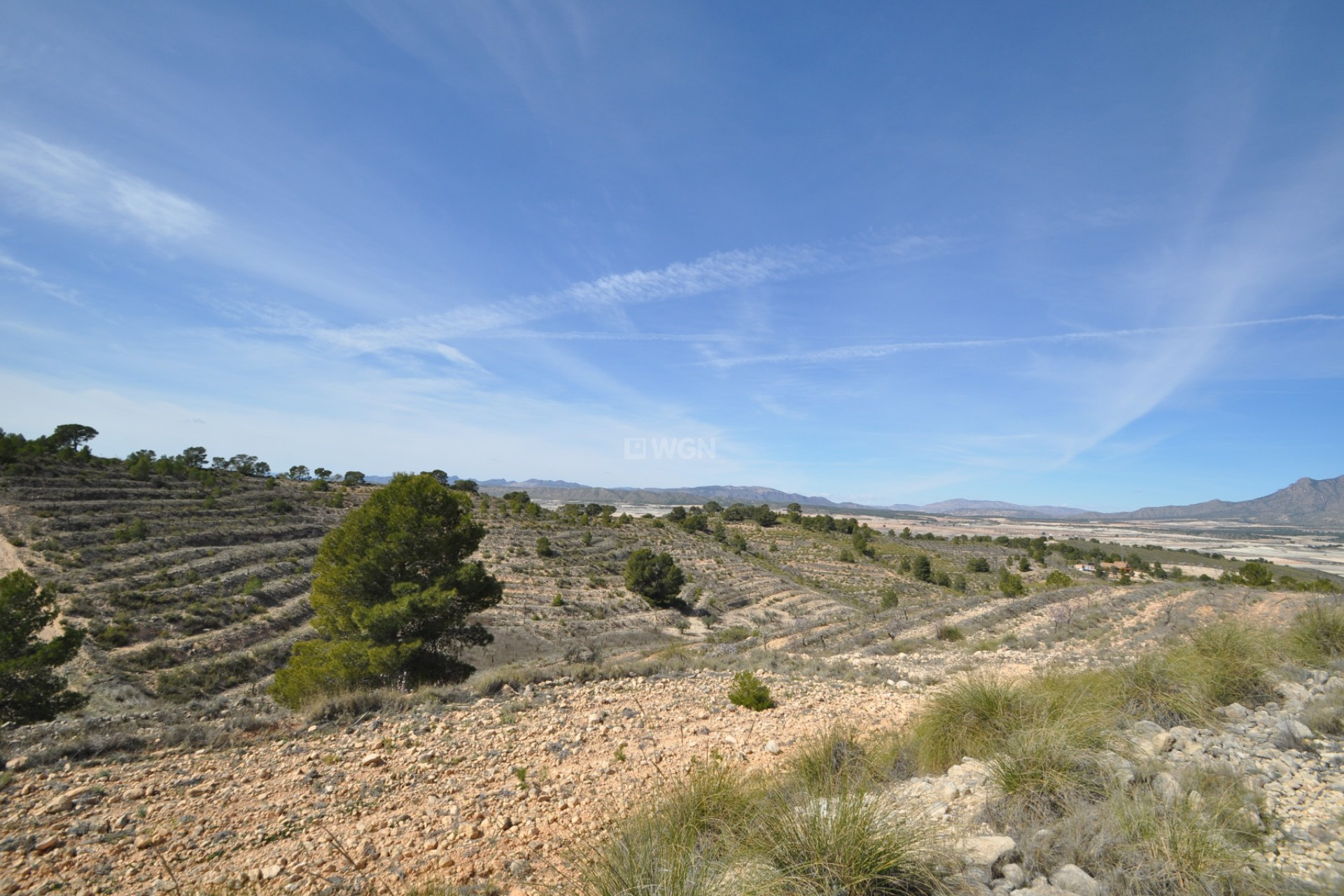 Resale - Plot / Land - La Zarza - Inland