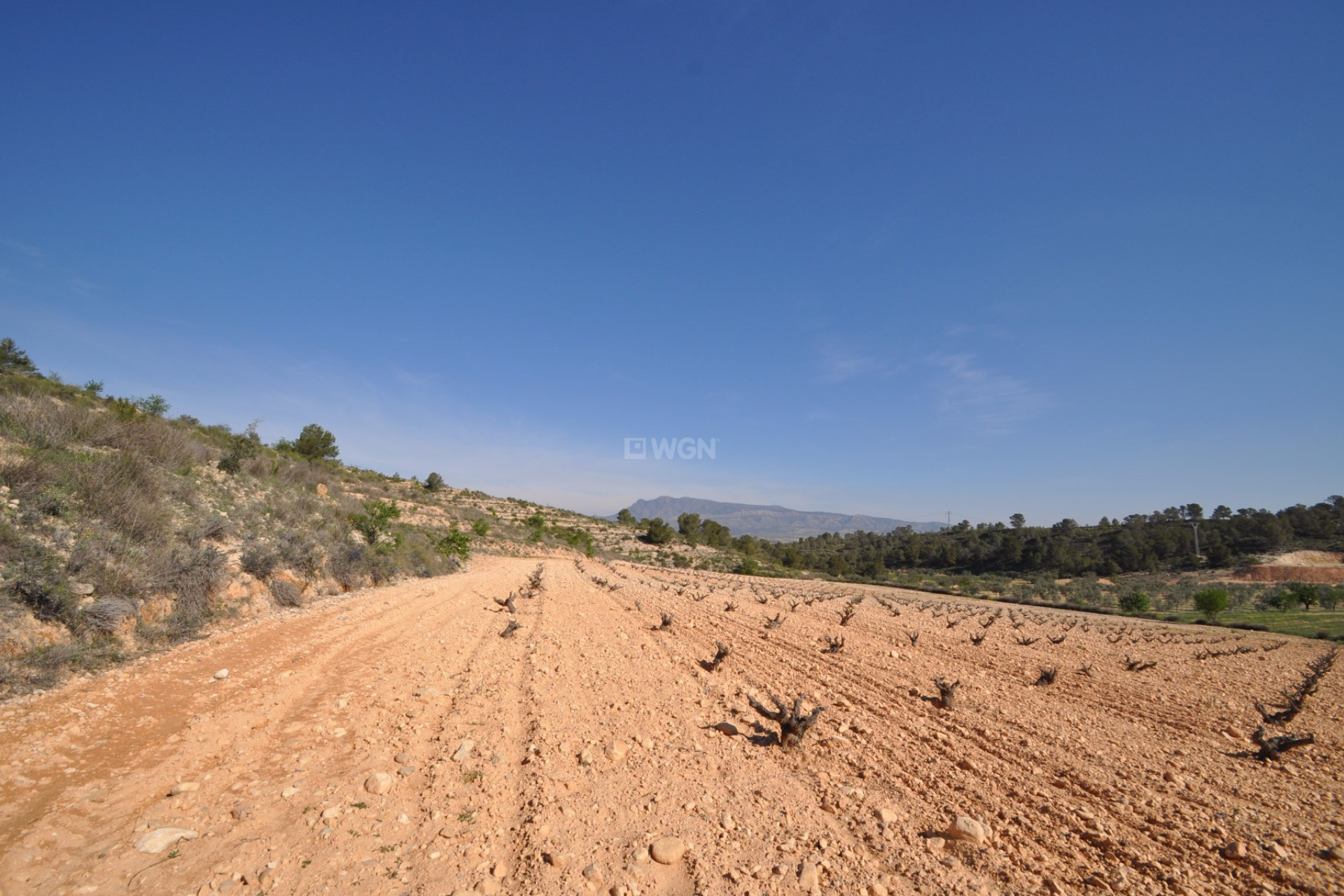 Resale - Plot / Land - La Zarza - Inland