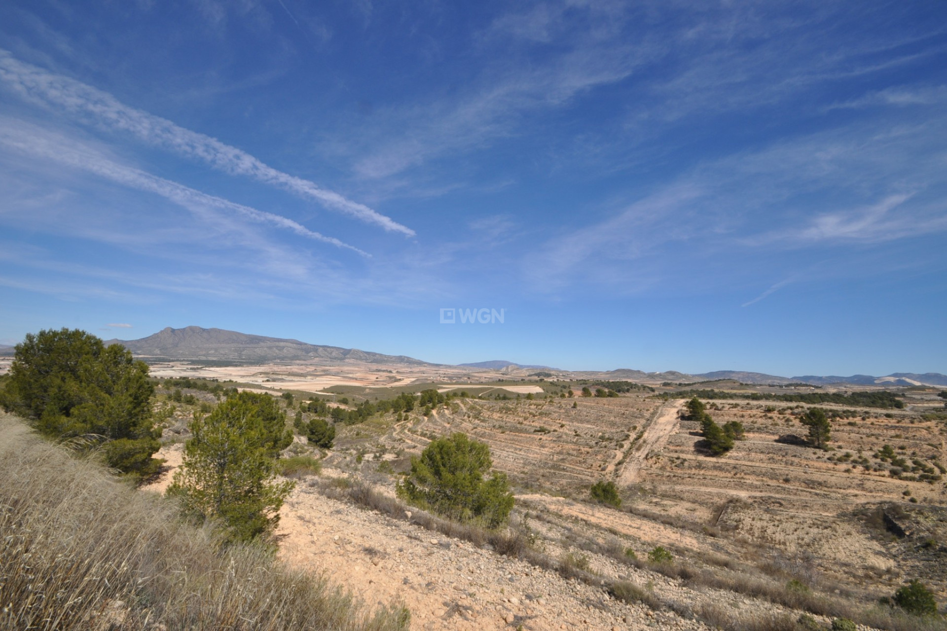 Resale - Plot / Land - La Zarza - Inland