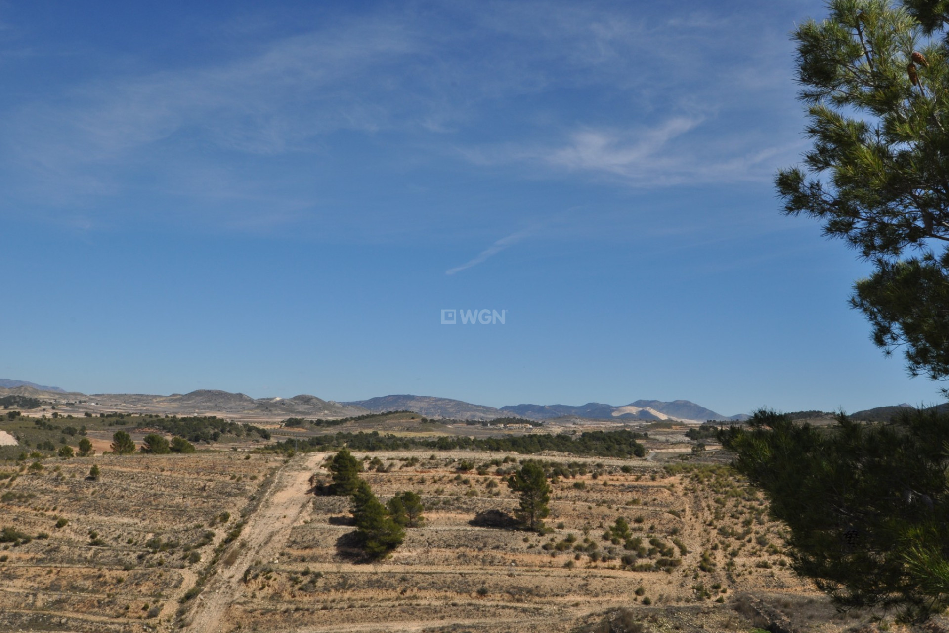 Resale - Plot / Land - La Zarza - Inland
