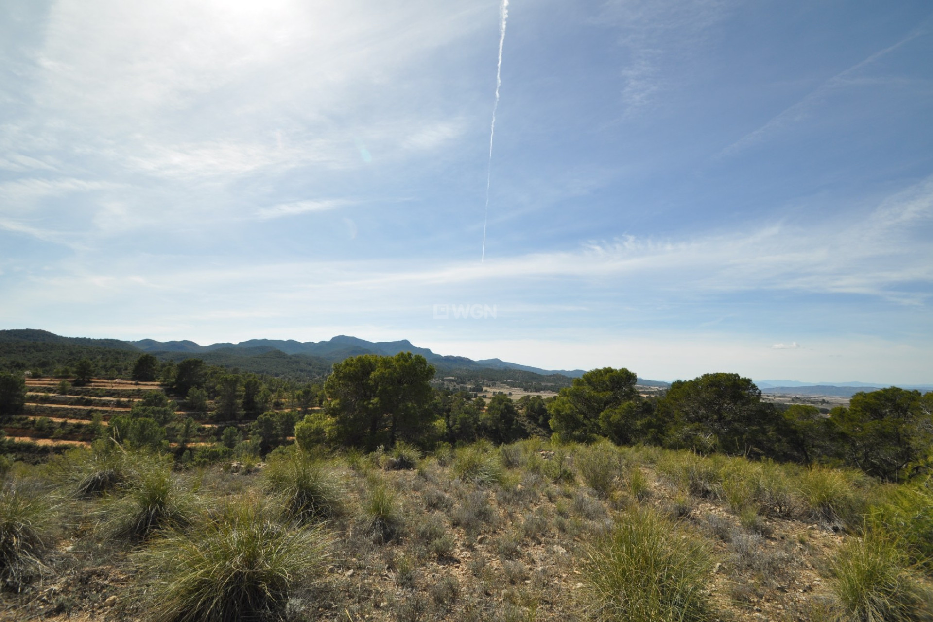 Resale - Plot / Land - La Zarza - Inland