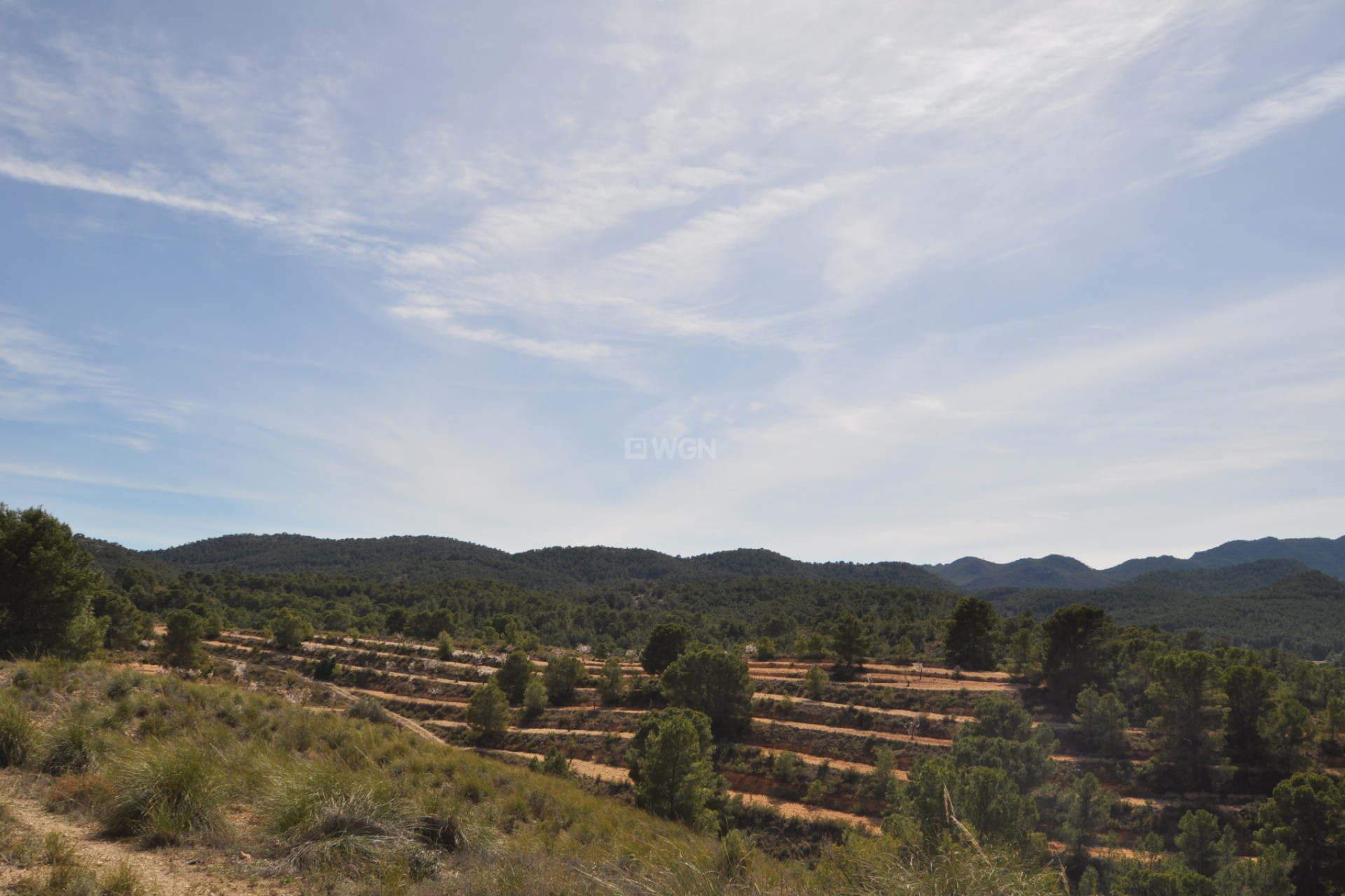 Resale - Plot / Land - La Zarza - Inland