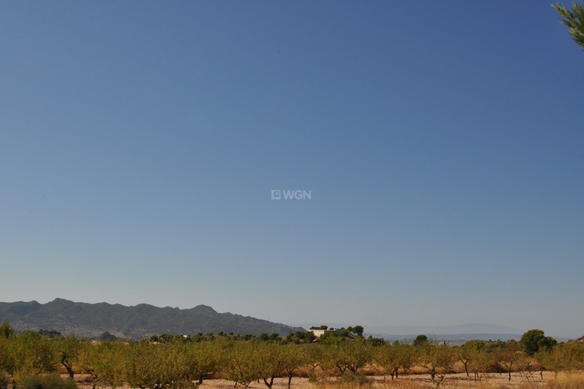 Resale - Plot / Land - Macisvenda - Inland