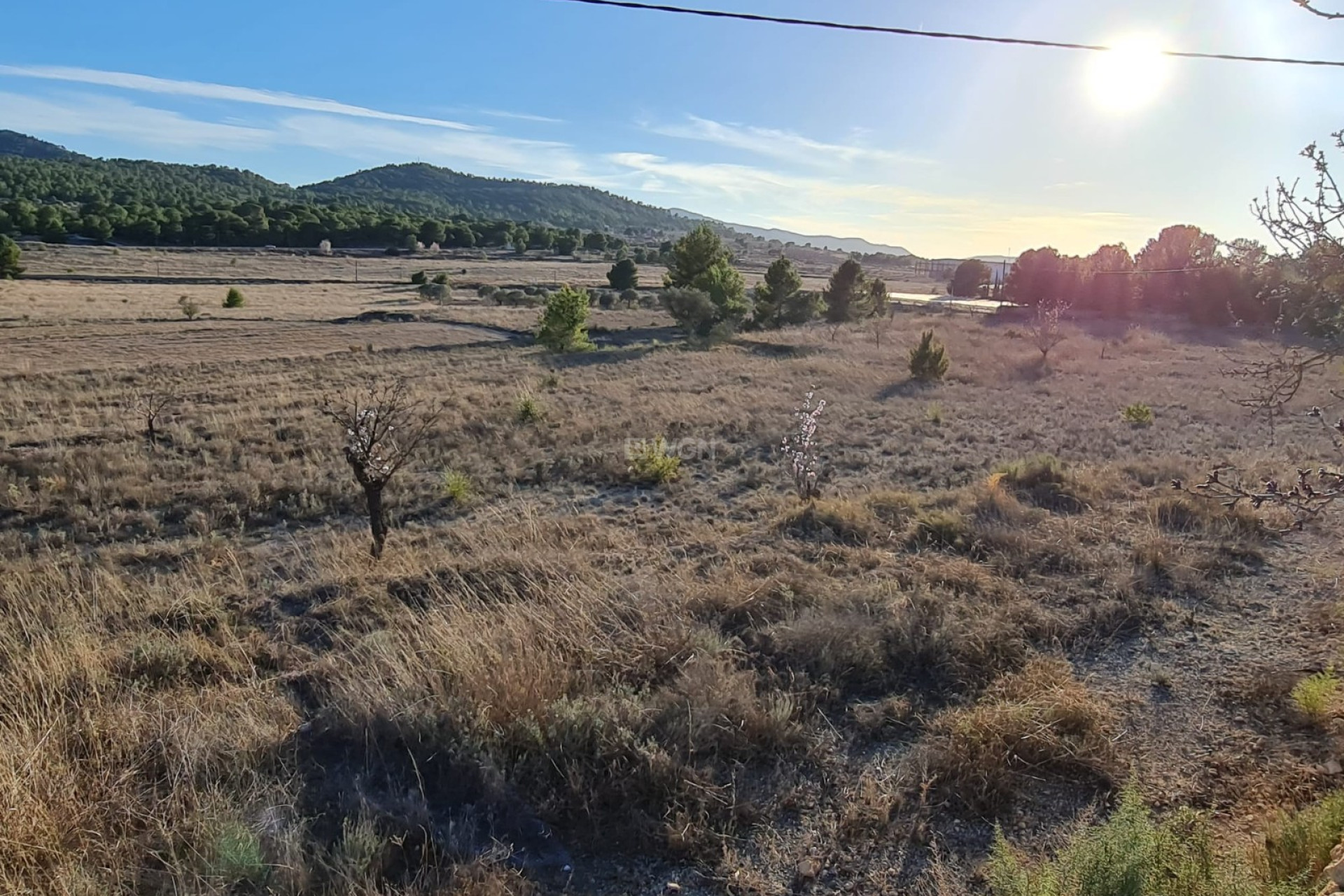 Resale - Plot / Land - Monóvar/Monóver - Inland