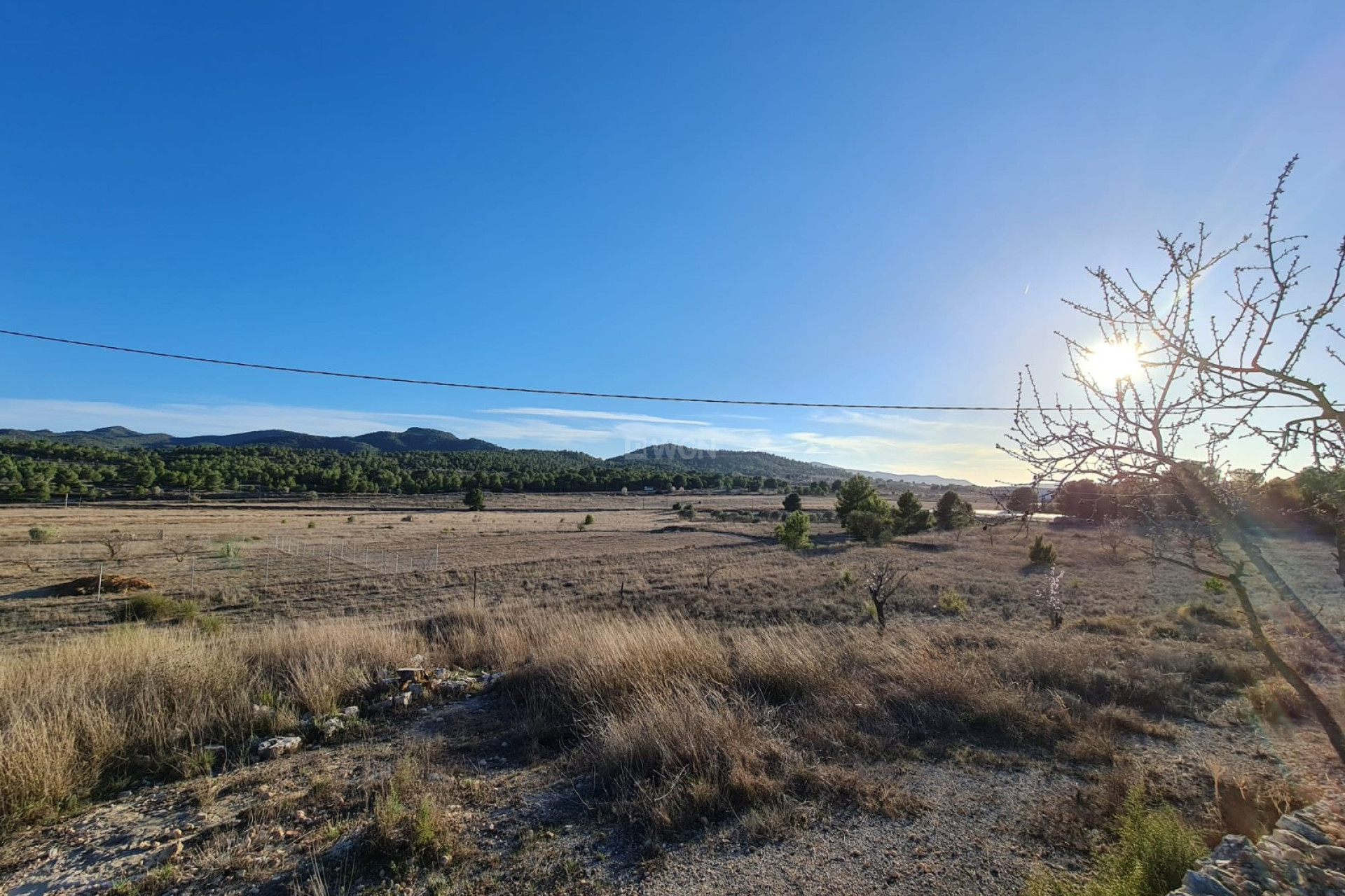 Resale - Plot / Land - Monóvar/Monóver - Inland