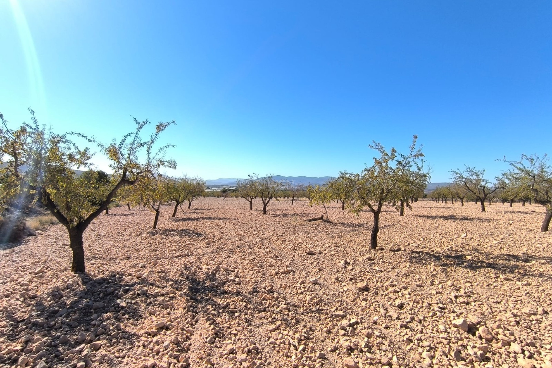 Resale - Plot / Land - Monóvar/Monóver - Inland