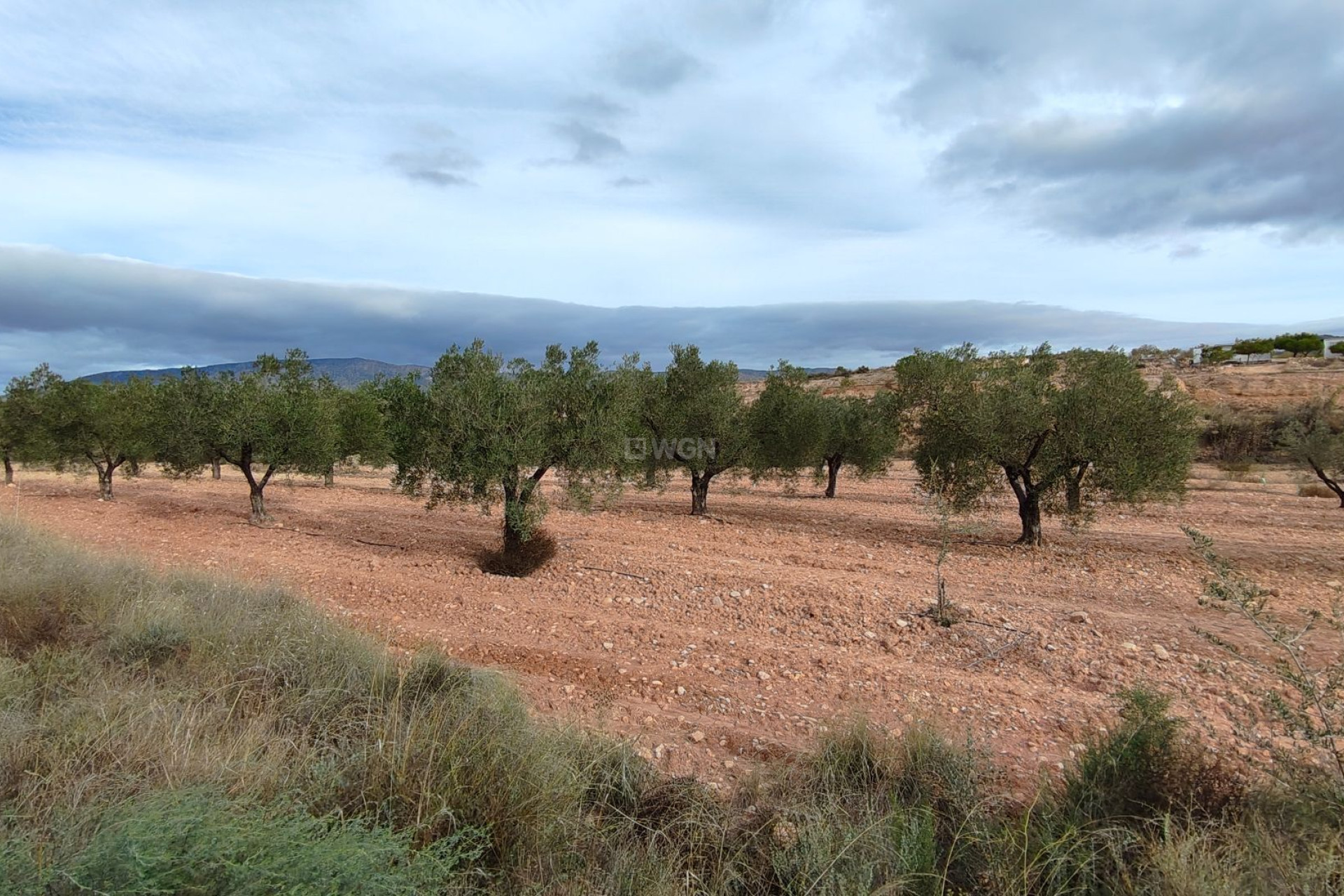 Resale - Plot / Land - Monóvar/Monóver - Inland