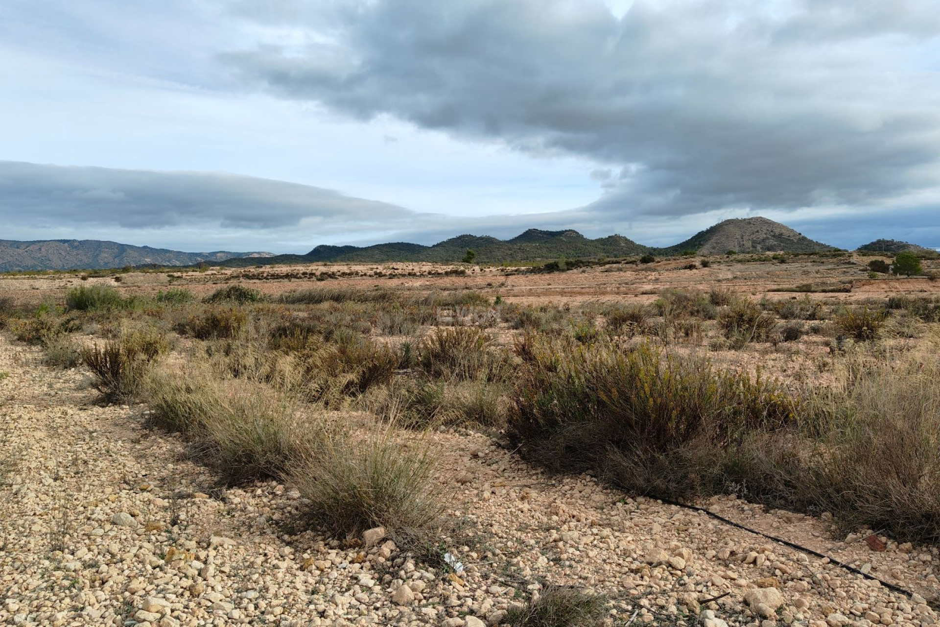 Resale - Plot / Land - Monóvar/Monóver - Inland