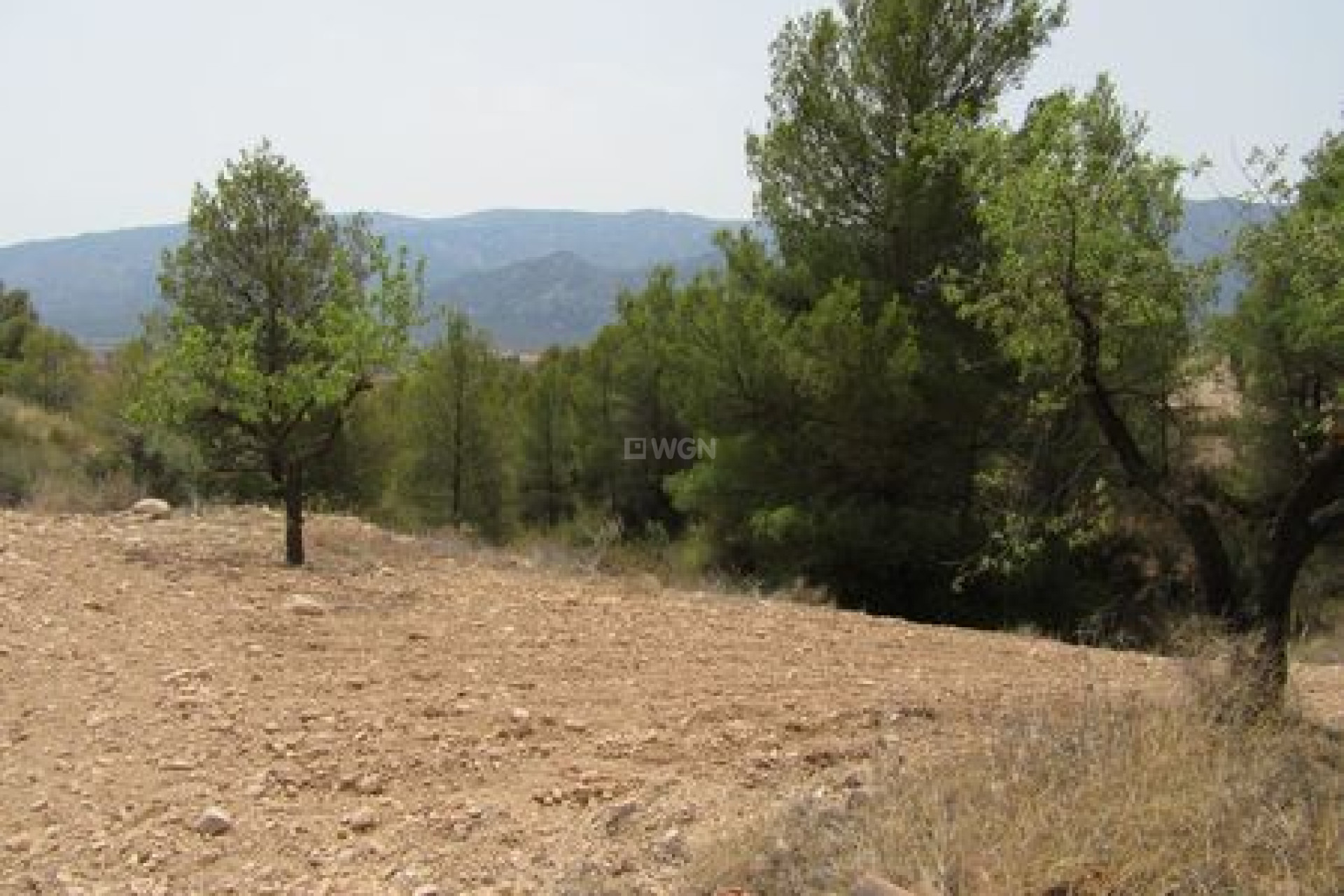 Resale - Plot / Land - Murcia - Inland