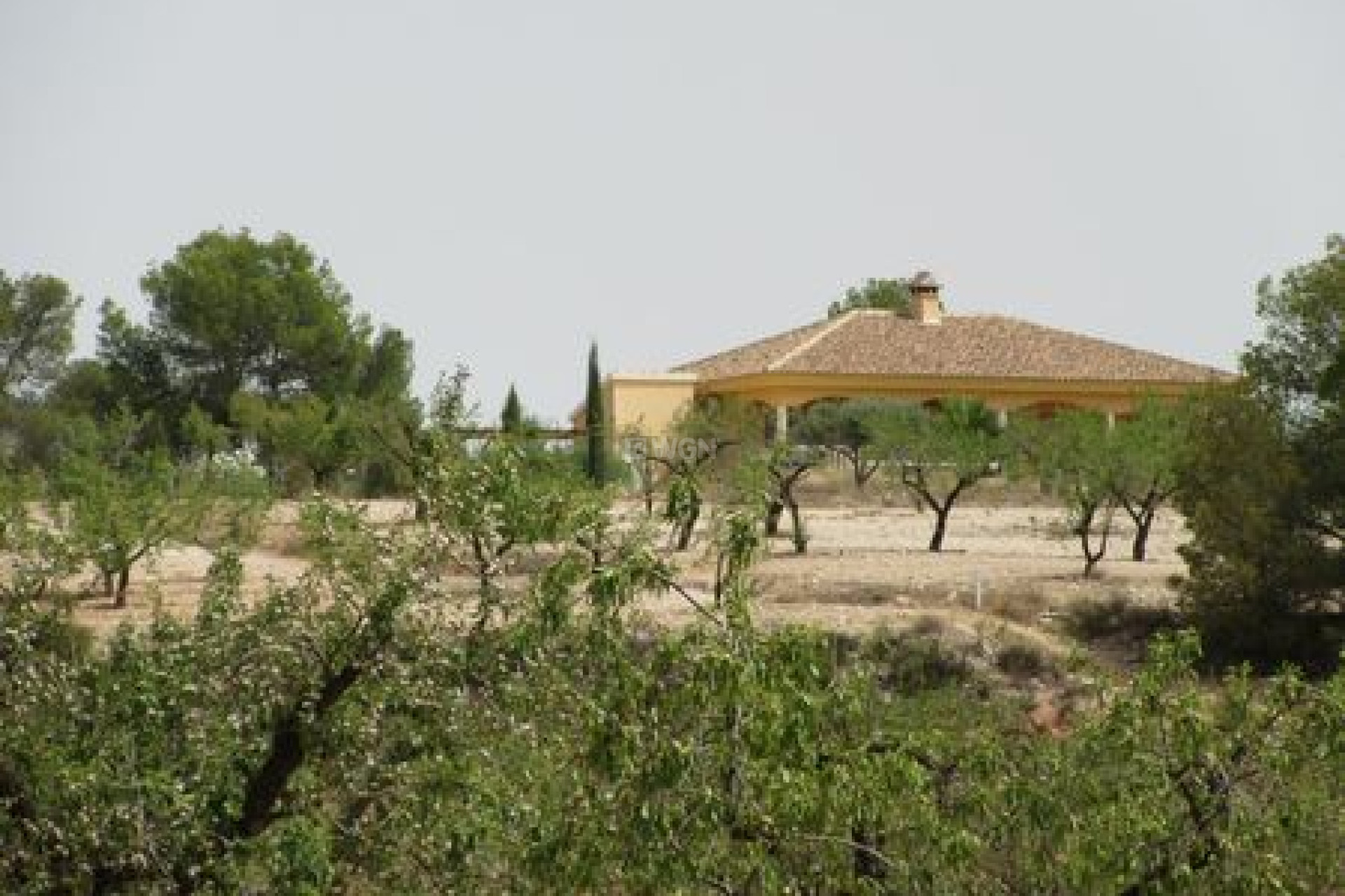 Resale - Plot / Land - Murcia - Inland