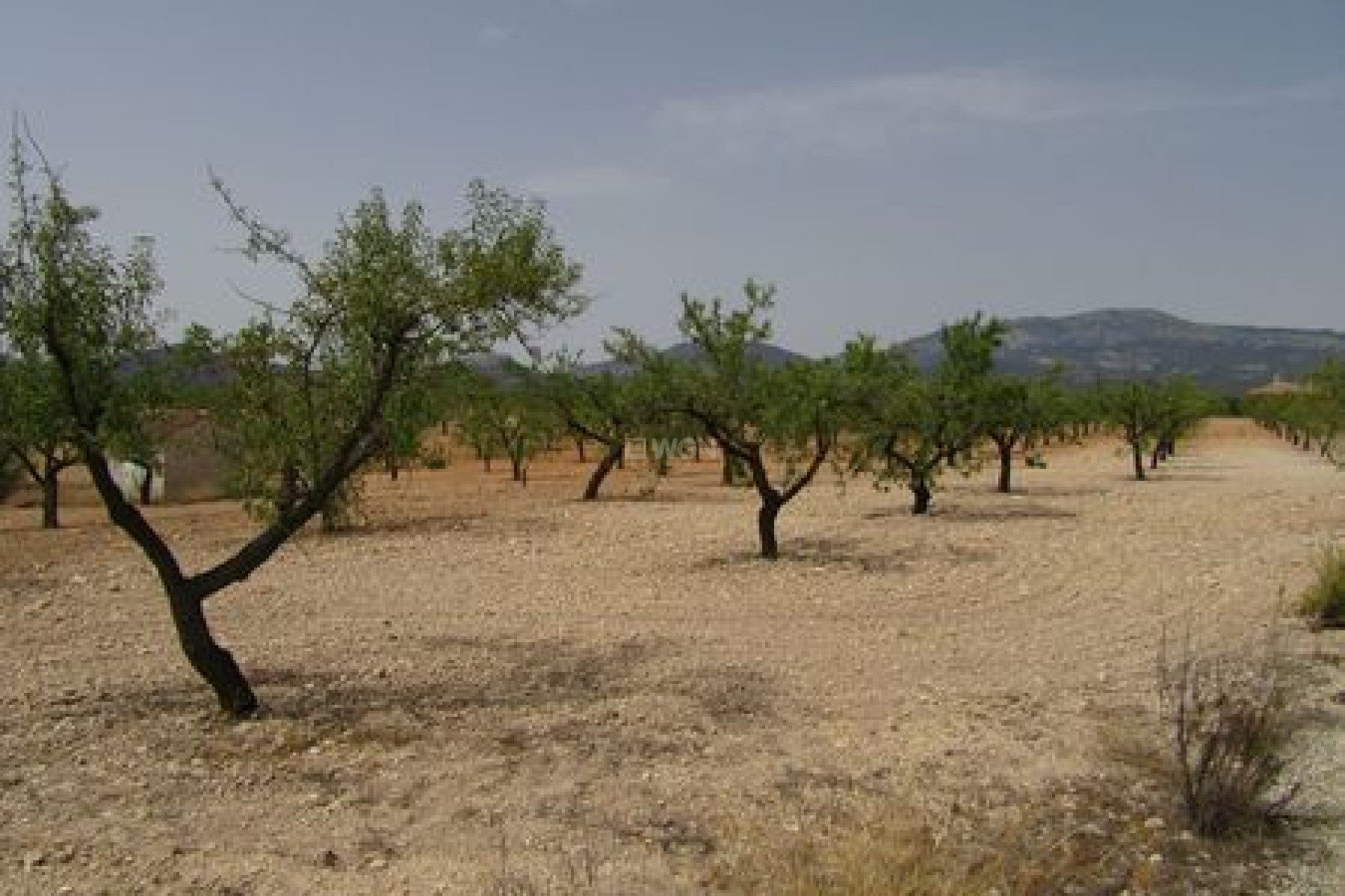 Resale - Plot / Land - Murcia - Inland