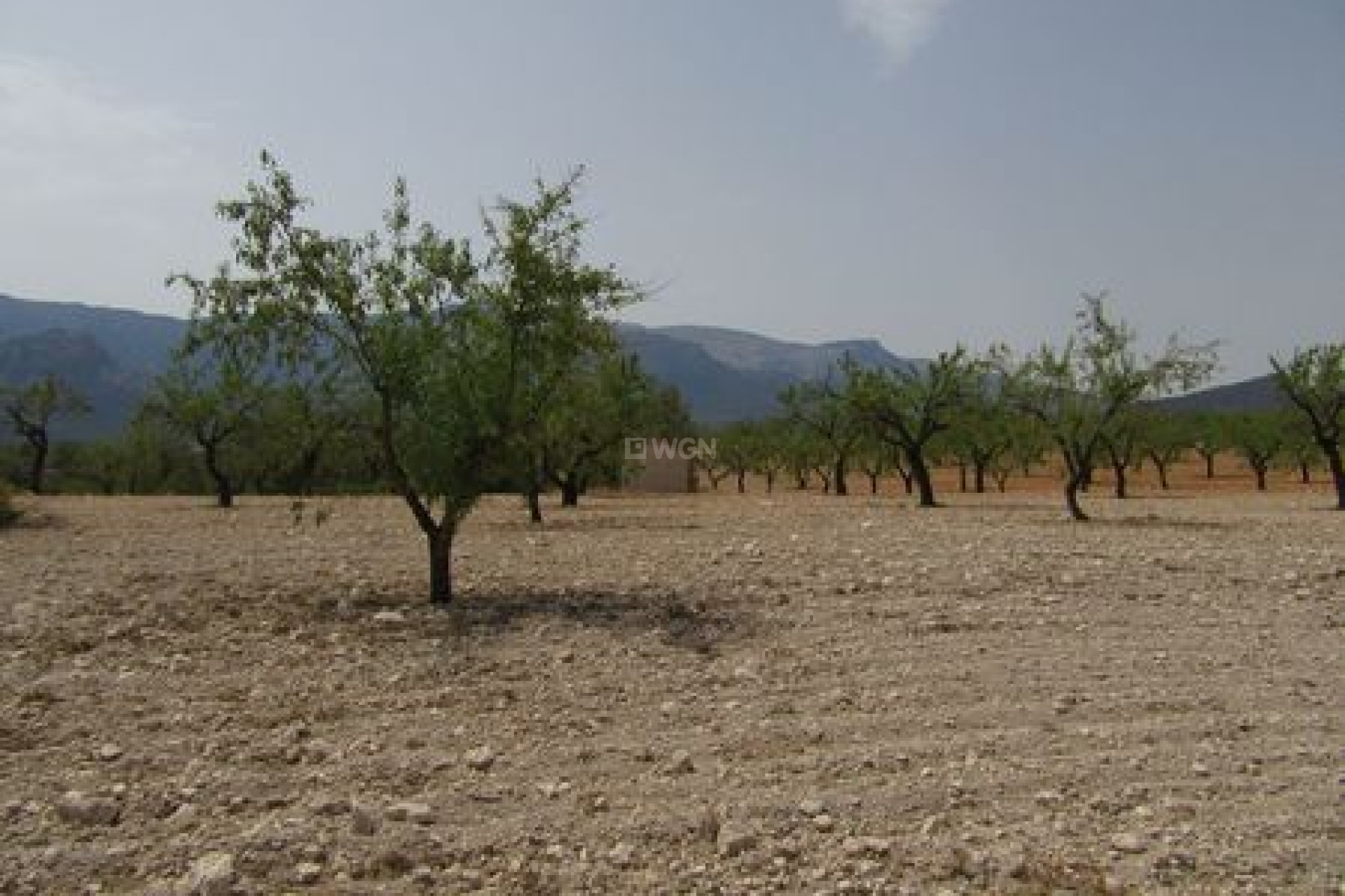 Resale - Plot / Land - Murcia - Inland