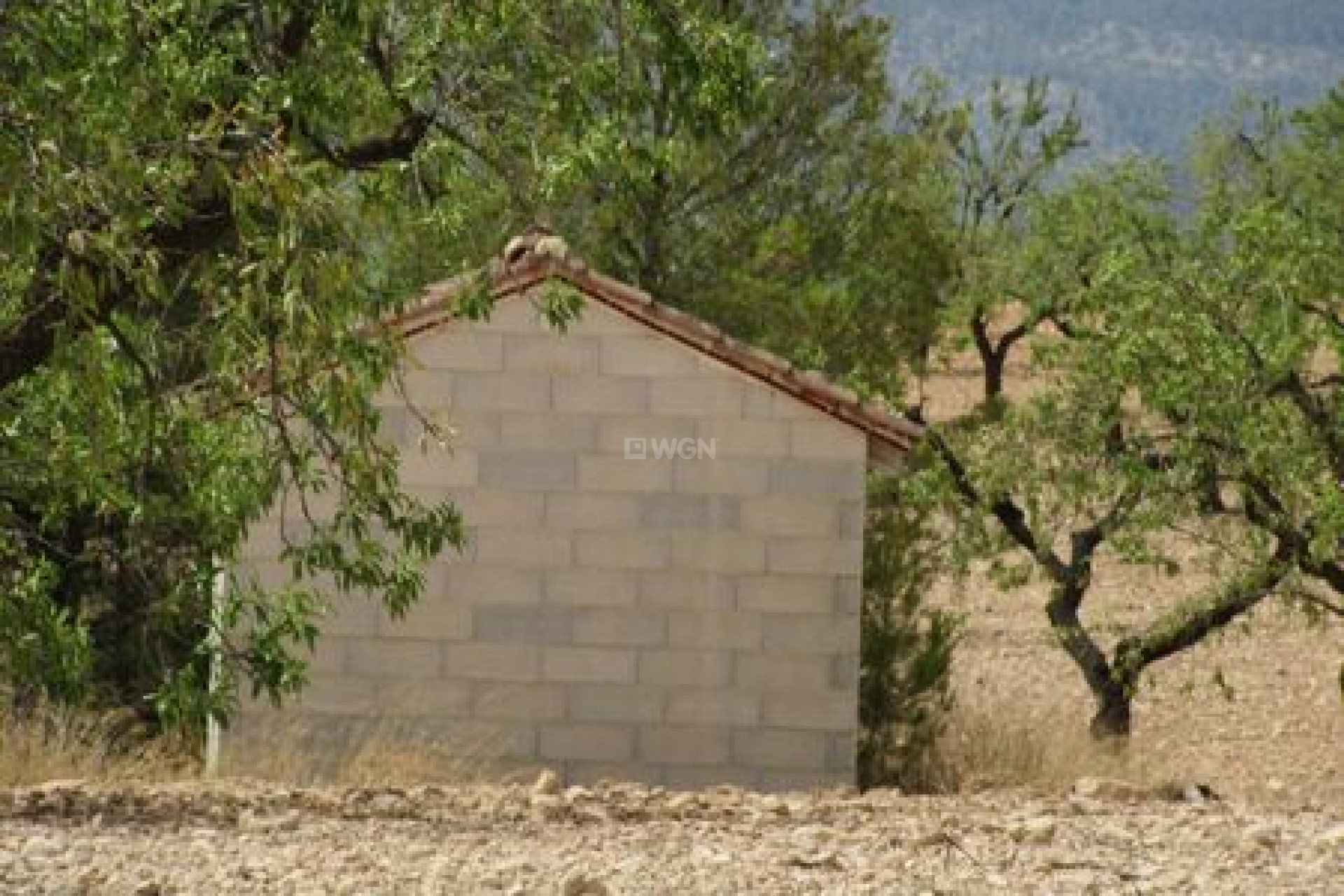 Resale - Plot / Land - Murcia - Inland