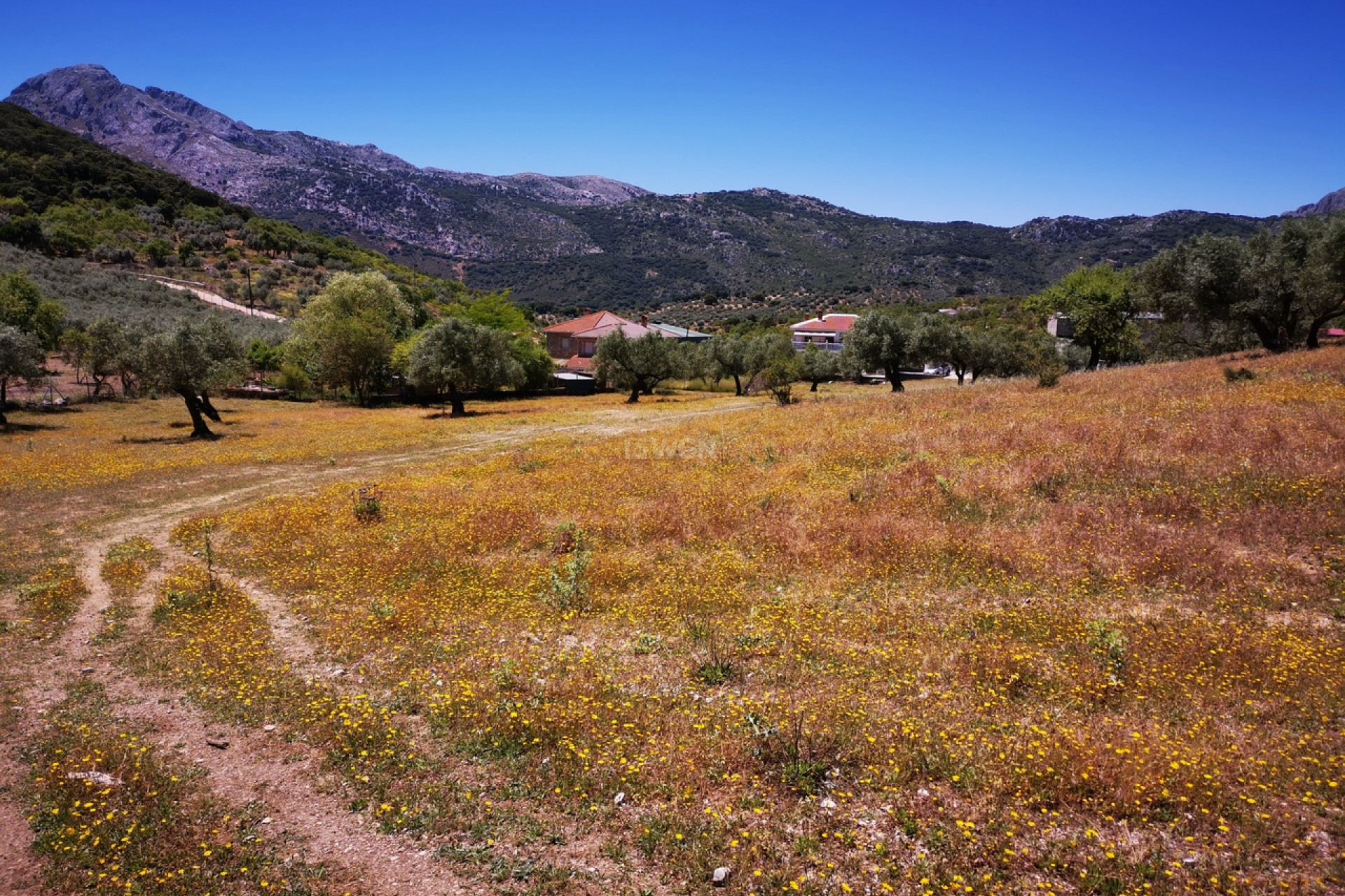 Resale - Plot / Land - Periana - Inland