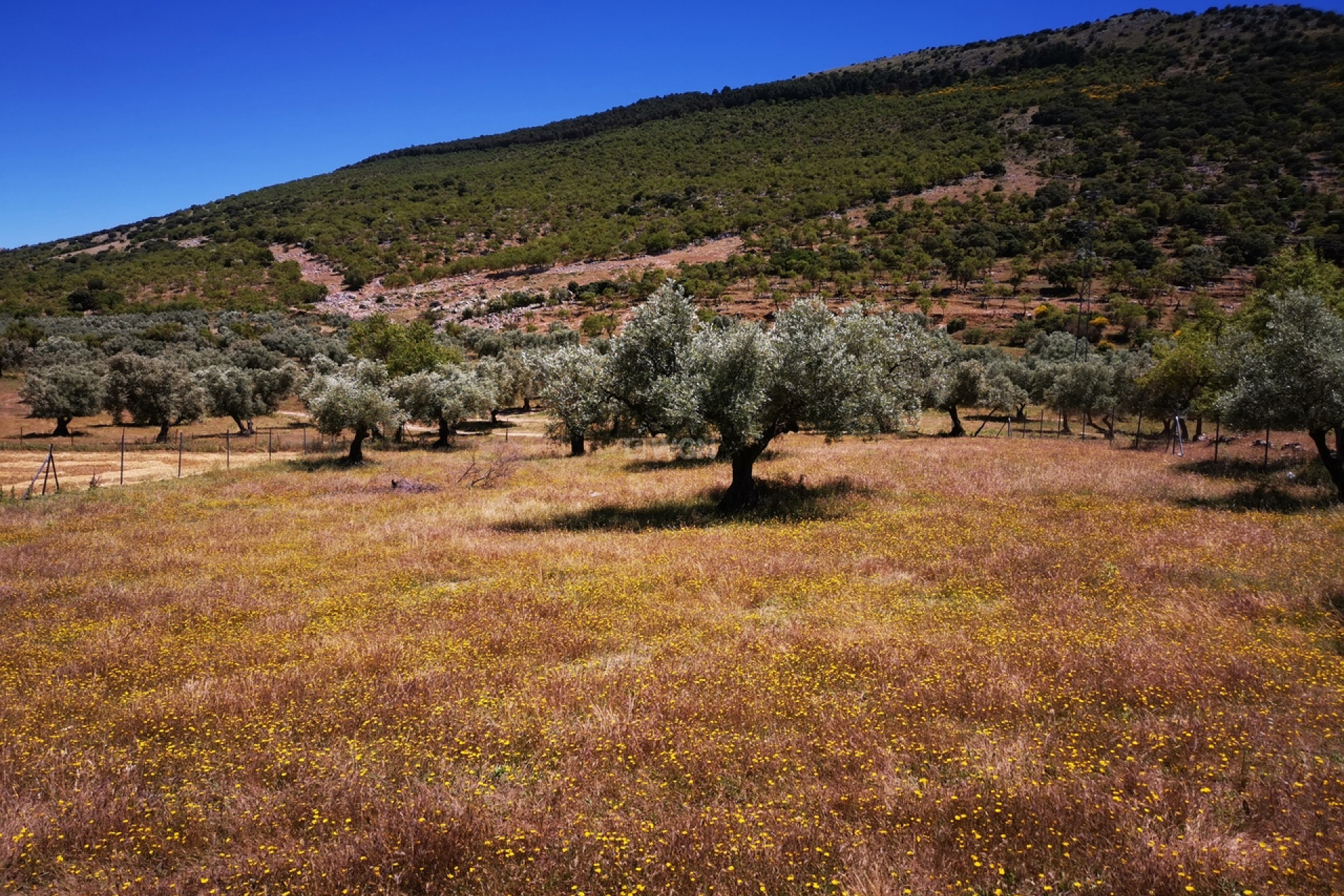 Resale - Plot / Land - Periana - Inland