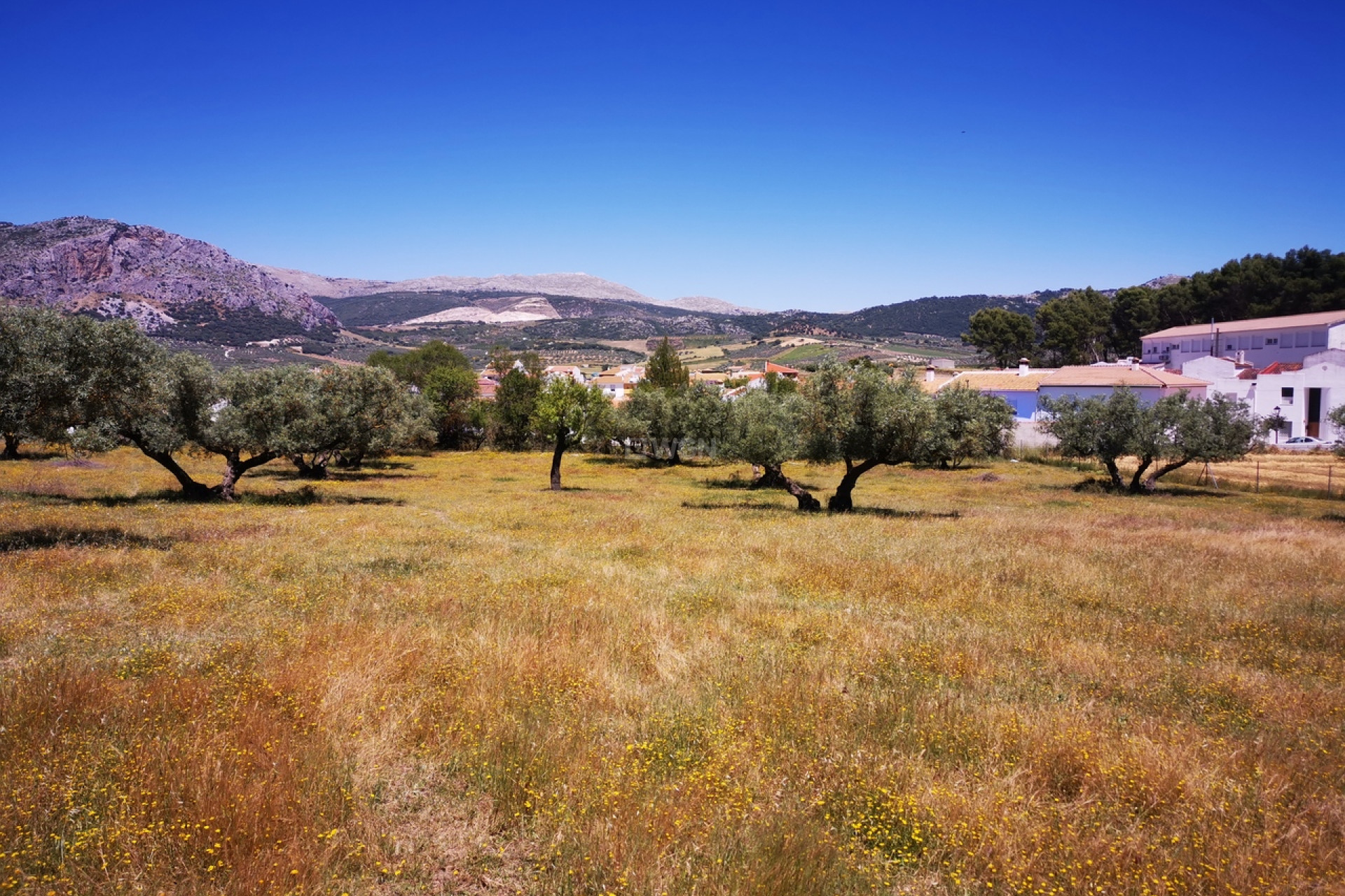 Resale - Plot / Land - Periana - Inland