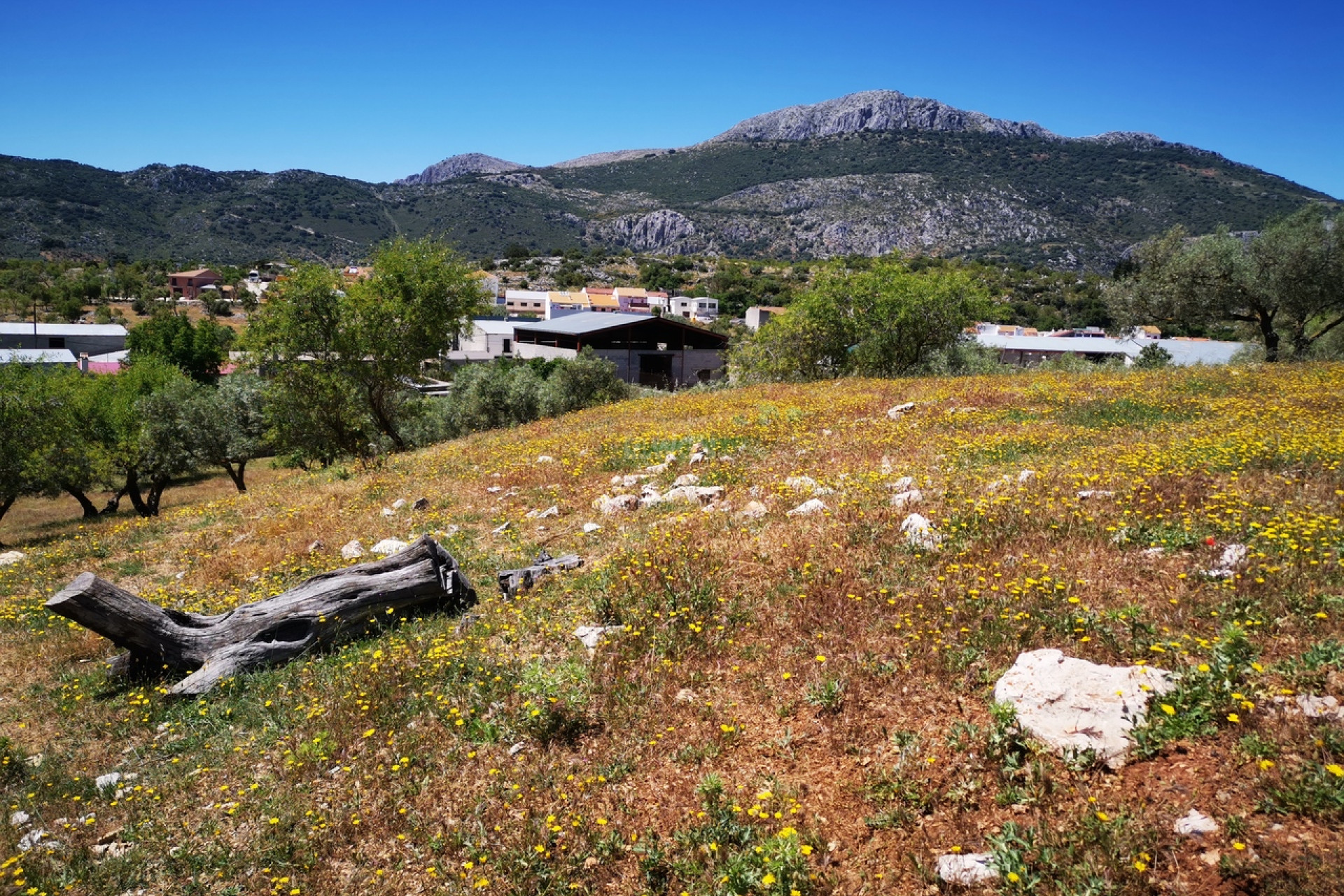 Resale - Plot / Land - Periana - Inland