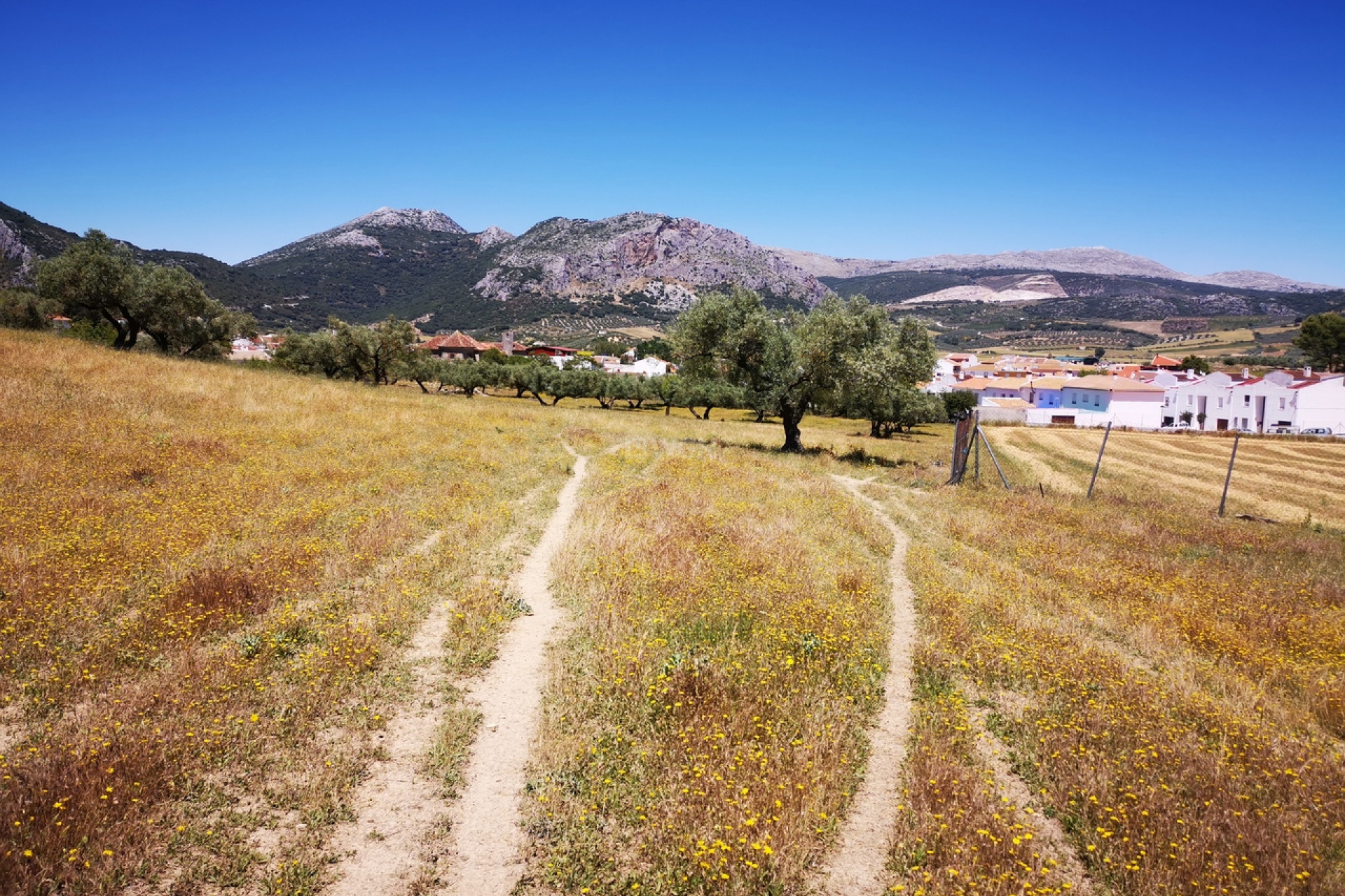 Resale - Plot / Land - Periana - Inland