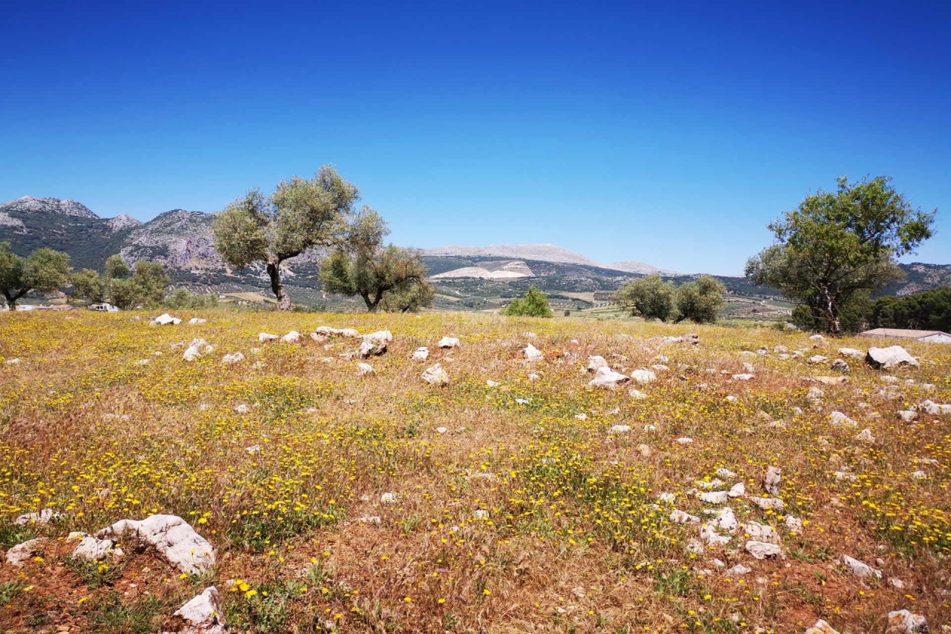 Resale - Plot / Land - Periana - Inland