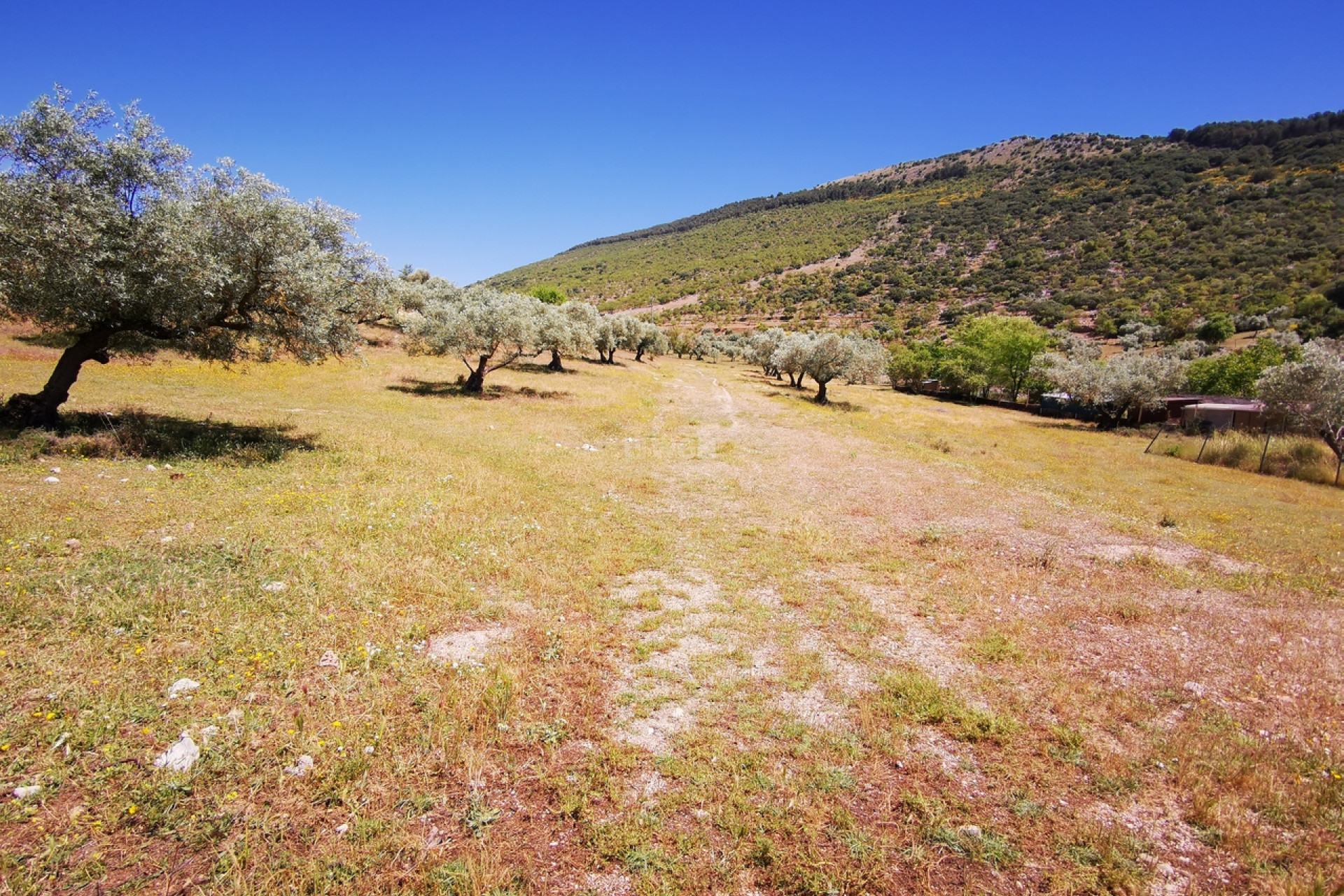 Resale - Plot / Land - Periana - Inland