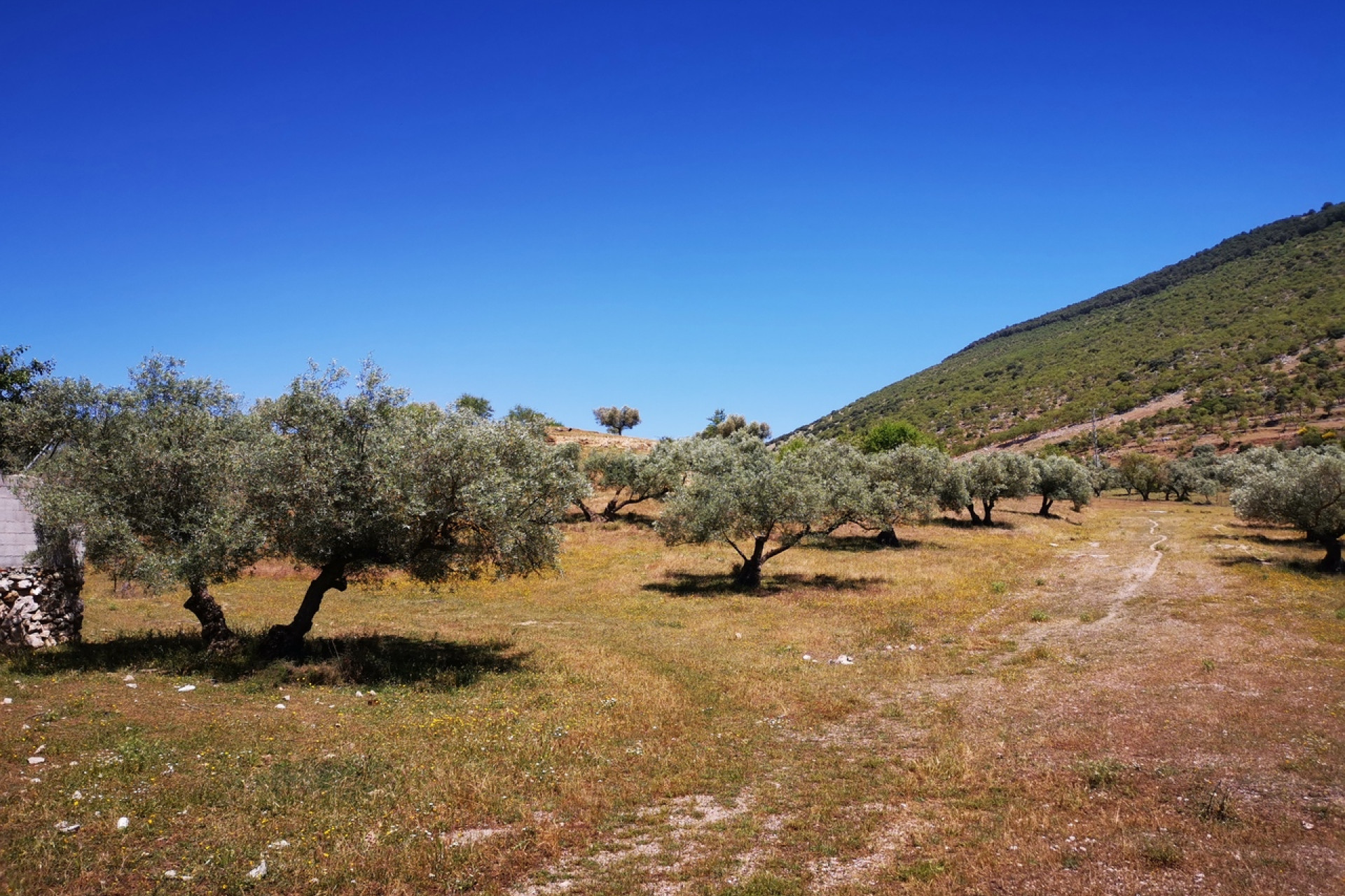 Resale - Plot / Land - Periana - Inland