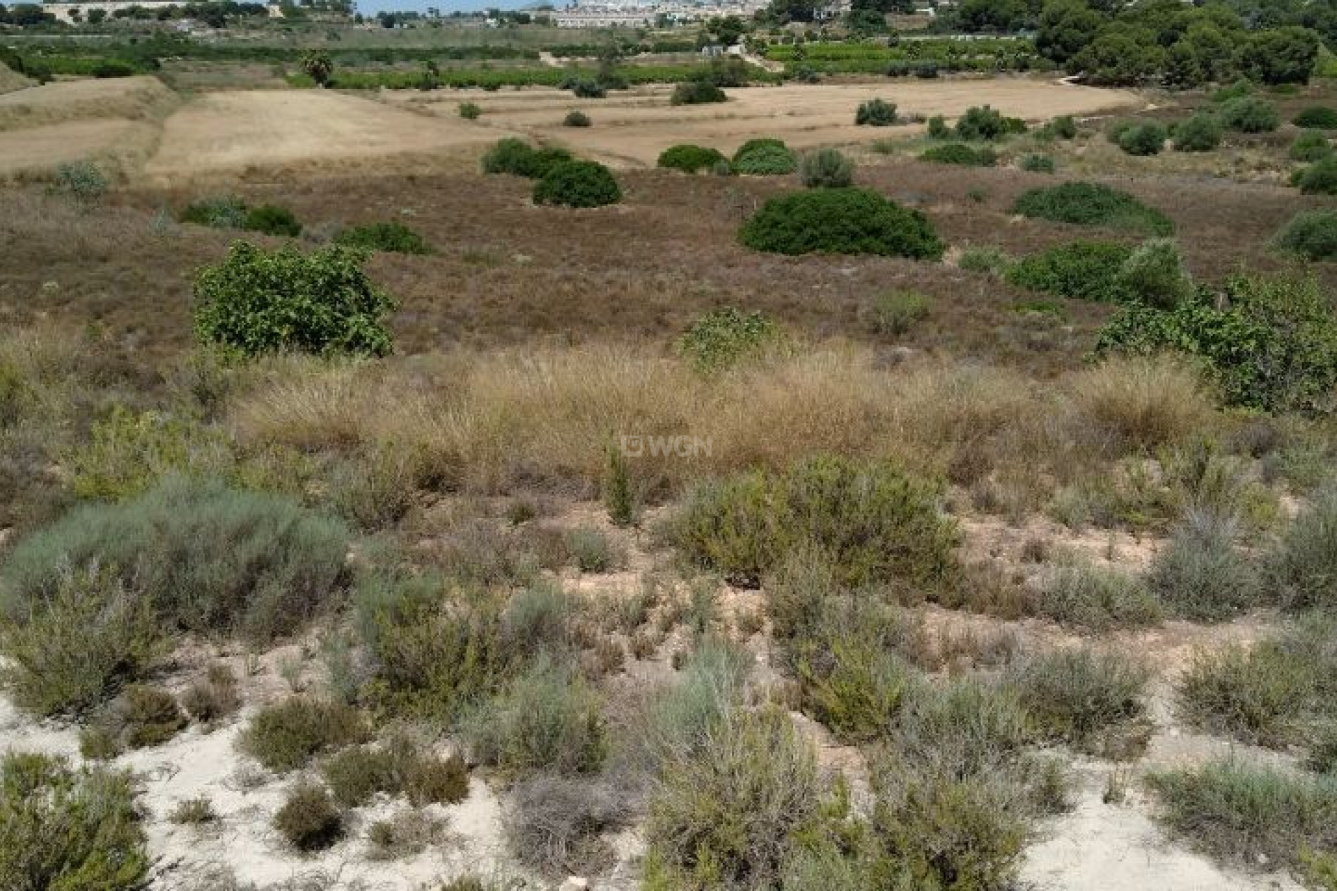 Resale - Plot / Land - Pinar de Campoverde - Inland