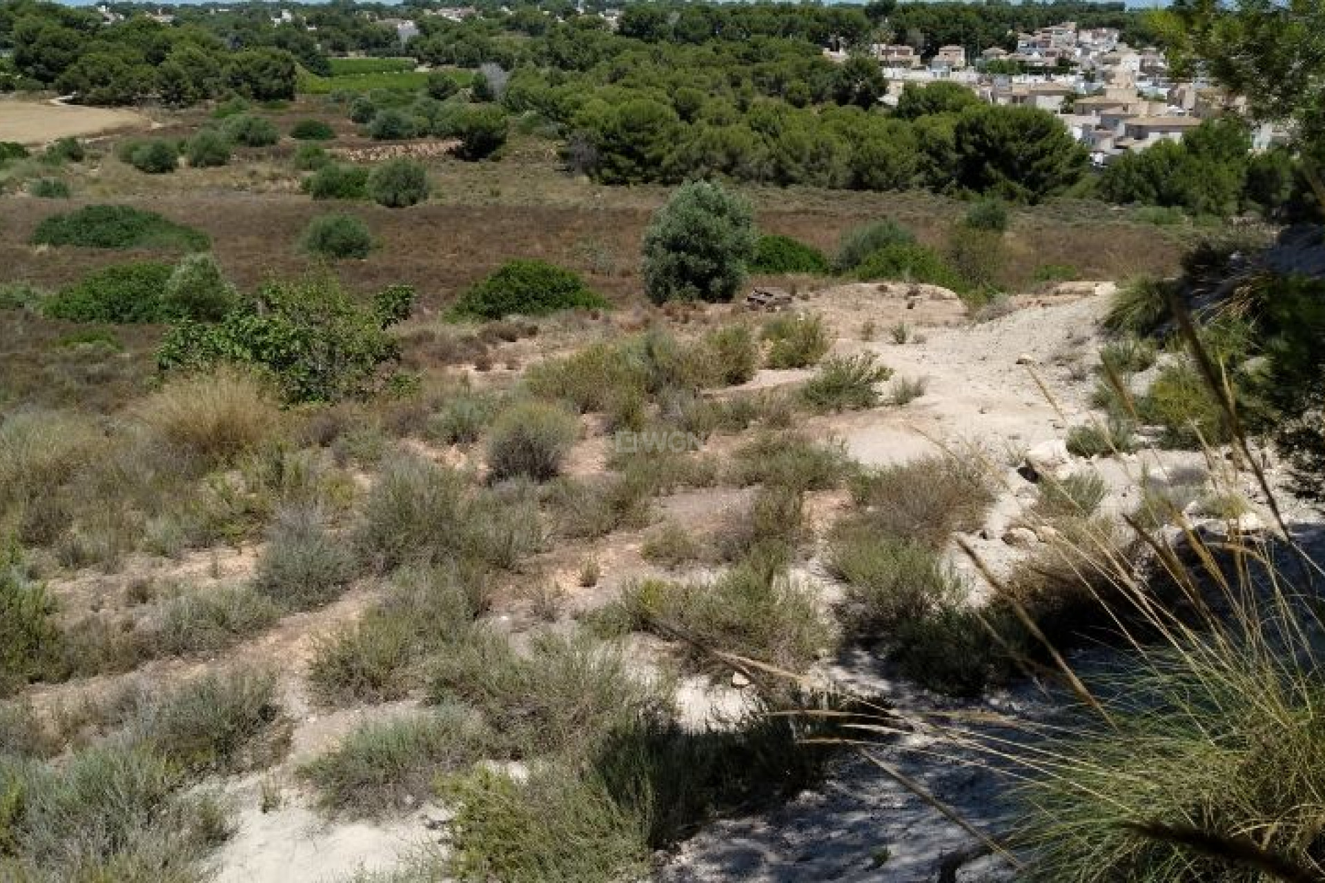Resale - Plot / Land - Pinar de Campoverde - Inland