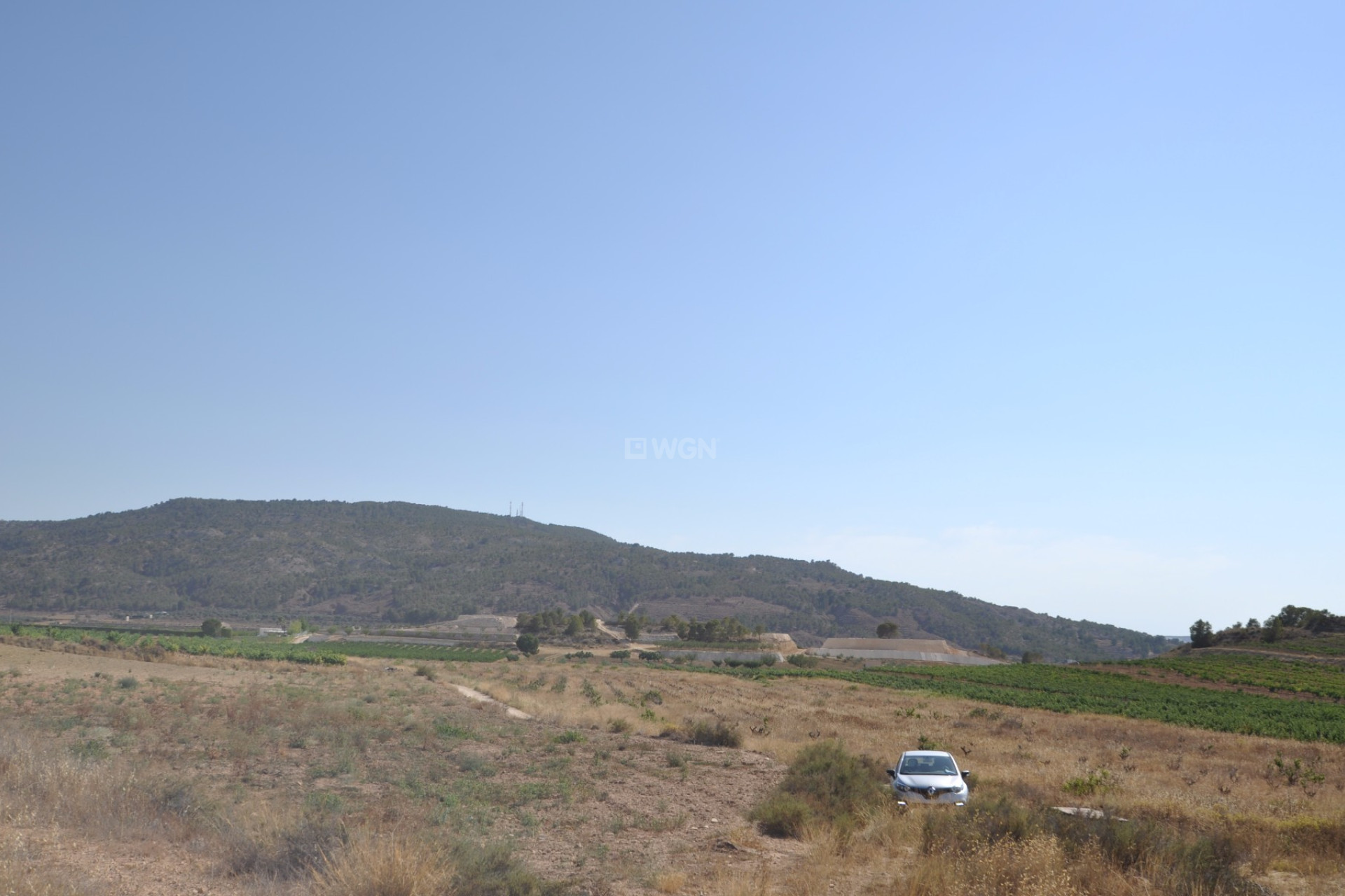 Resale - Plot / Land - Pinoso - Inland