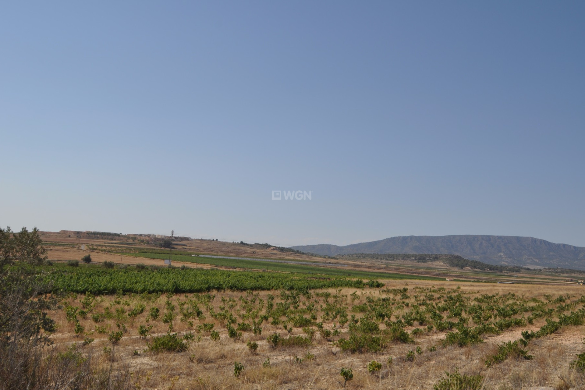 Resale - Plot / Land - Pinoso - Inland