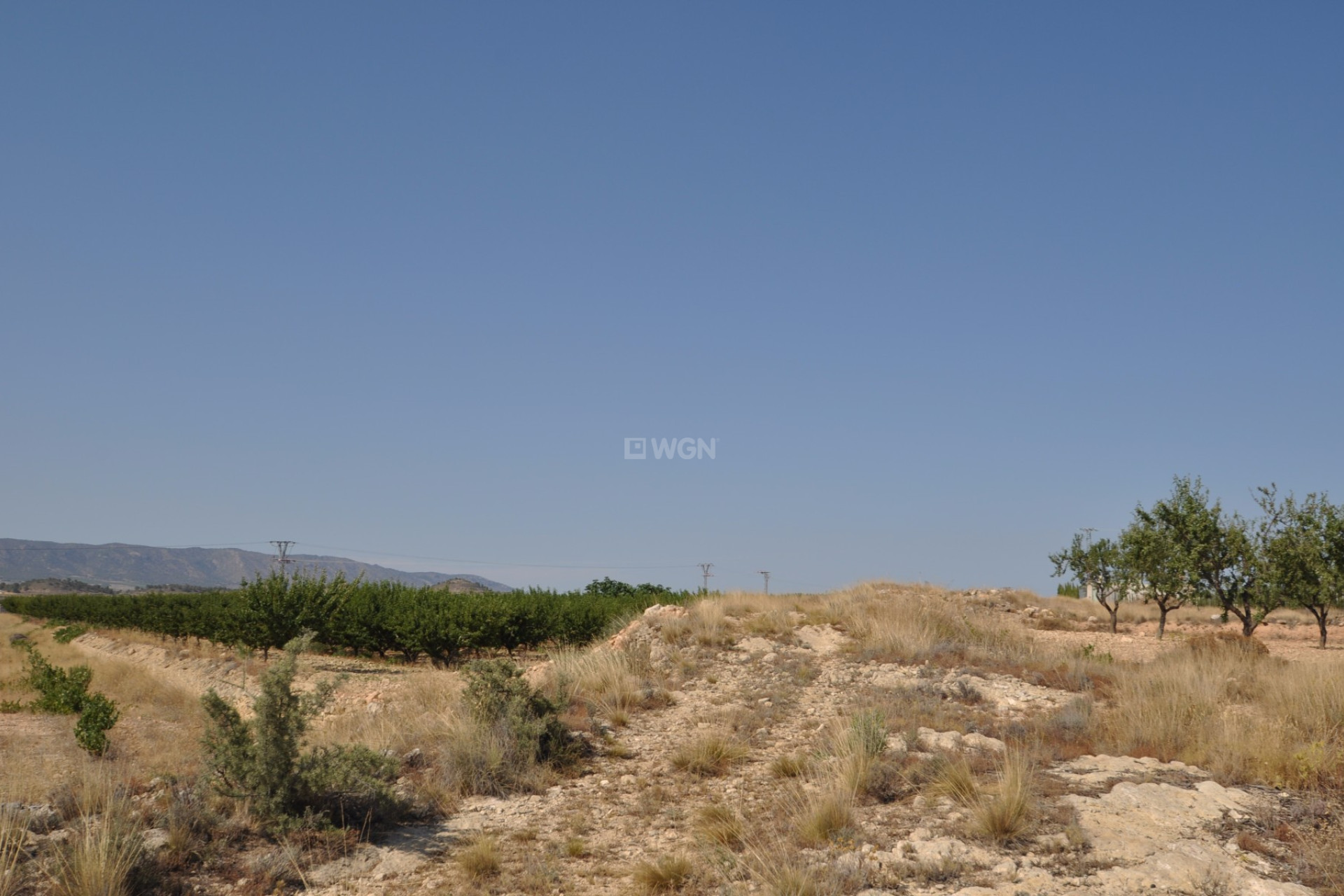 Resale - Plot / Land - Pinoso - Inland