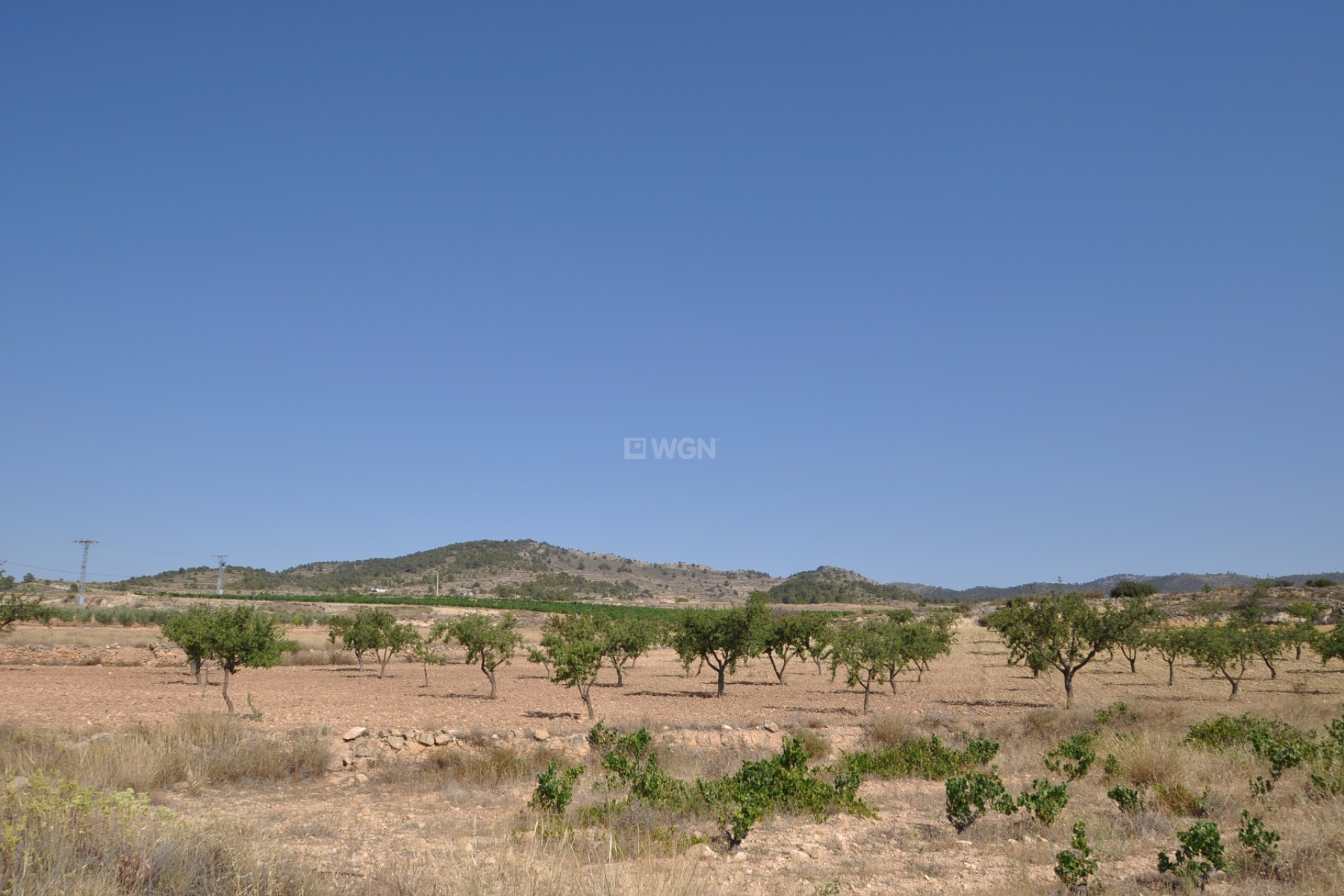 Resale - Plot / Land - Pinoso - Inland