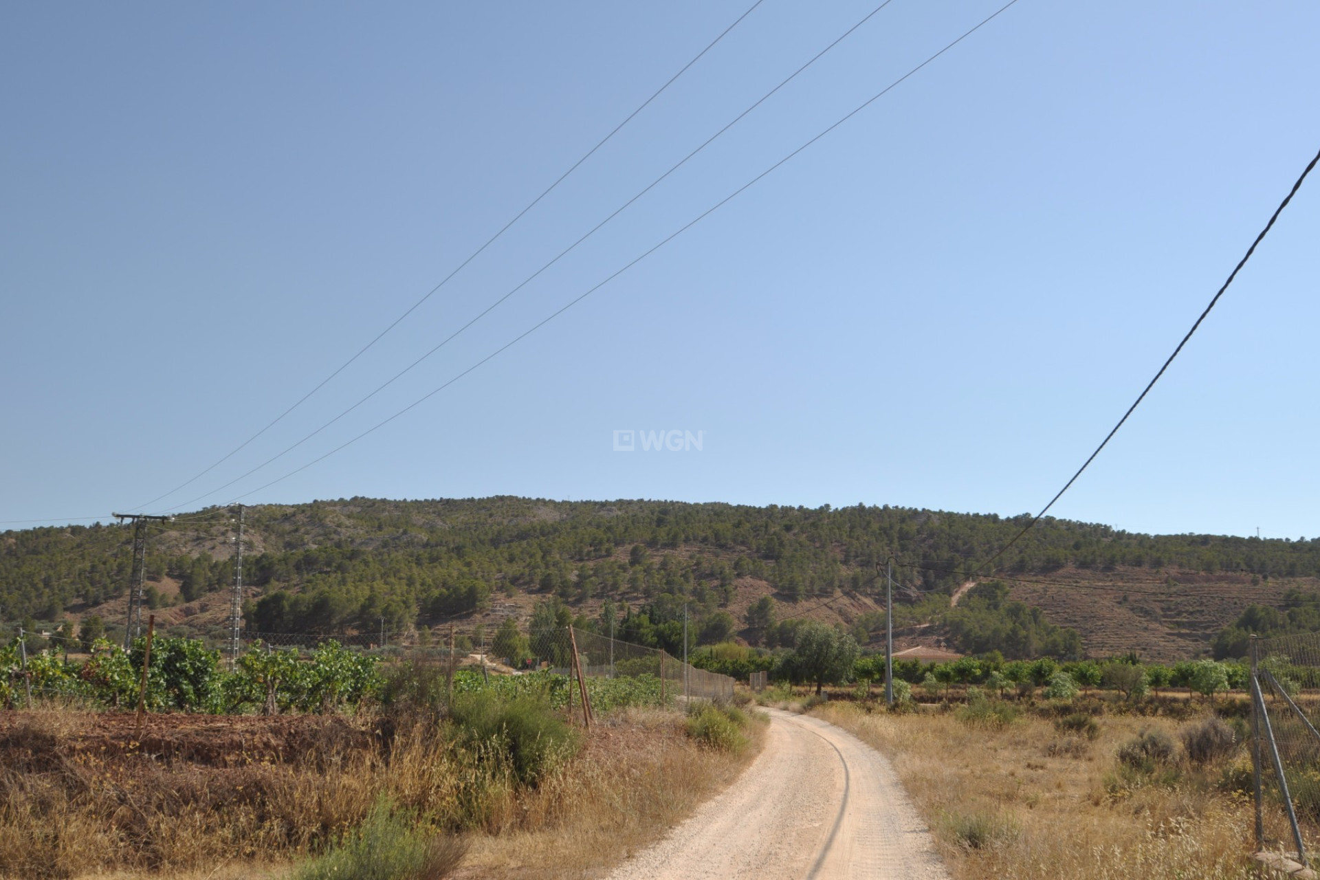 Resale - Plot / Land - Pinoso - Inland