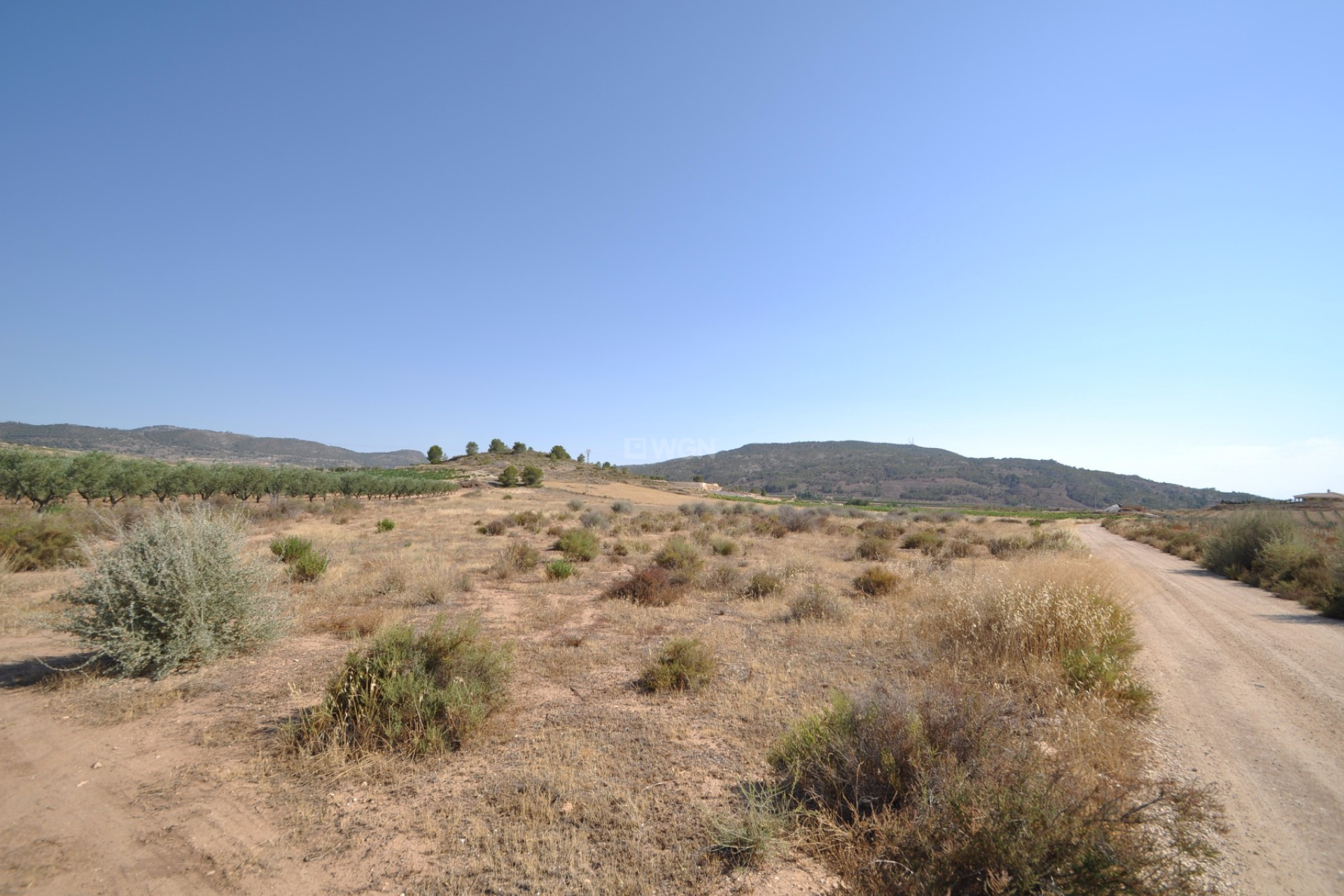 Resale - Plot / Land - Pinoso - Inland