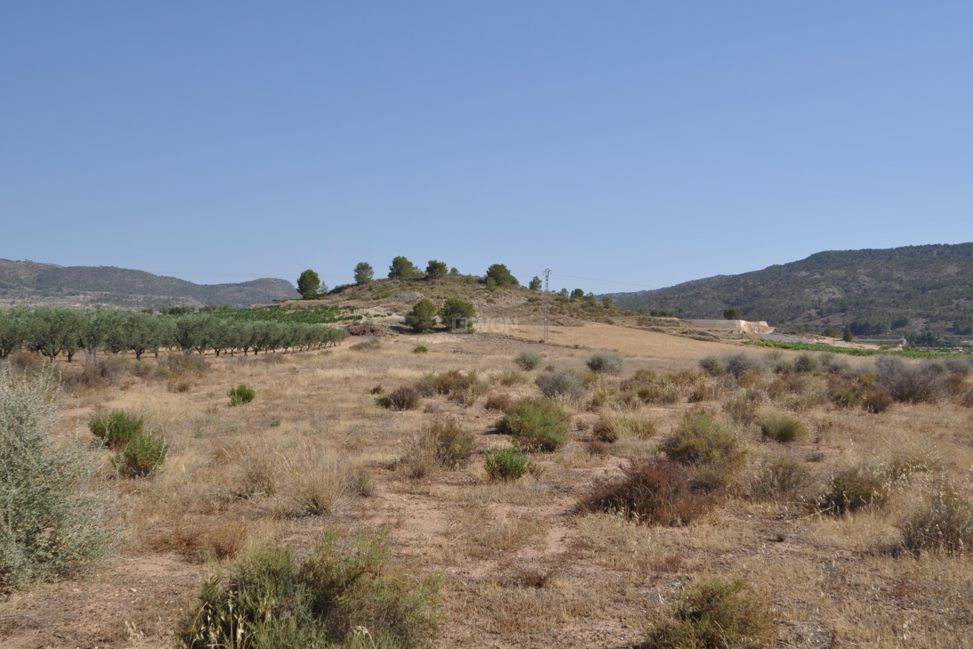 Resale - Plot / Land - Pinoso - Inland