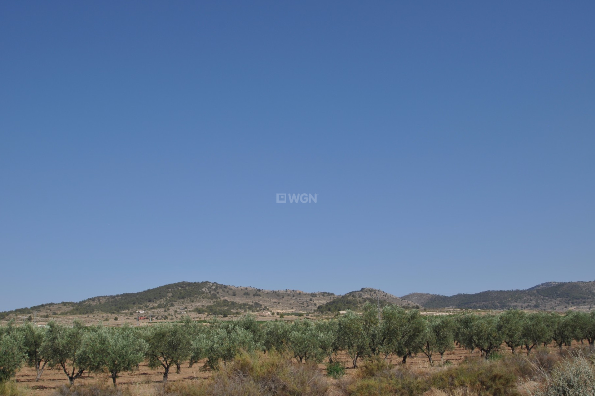 Resale - Plot / Land - Pinoso - Inland