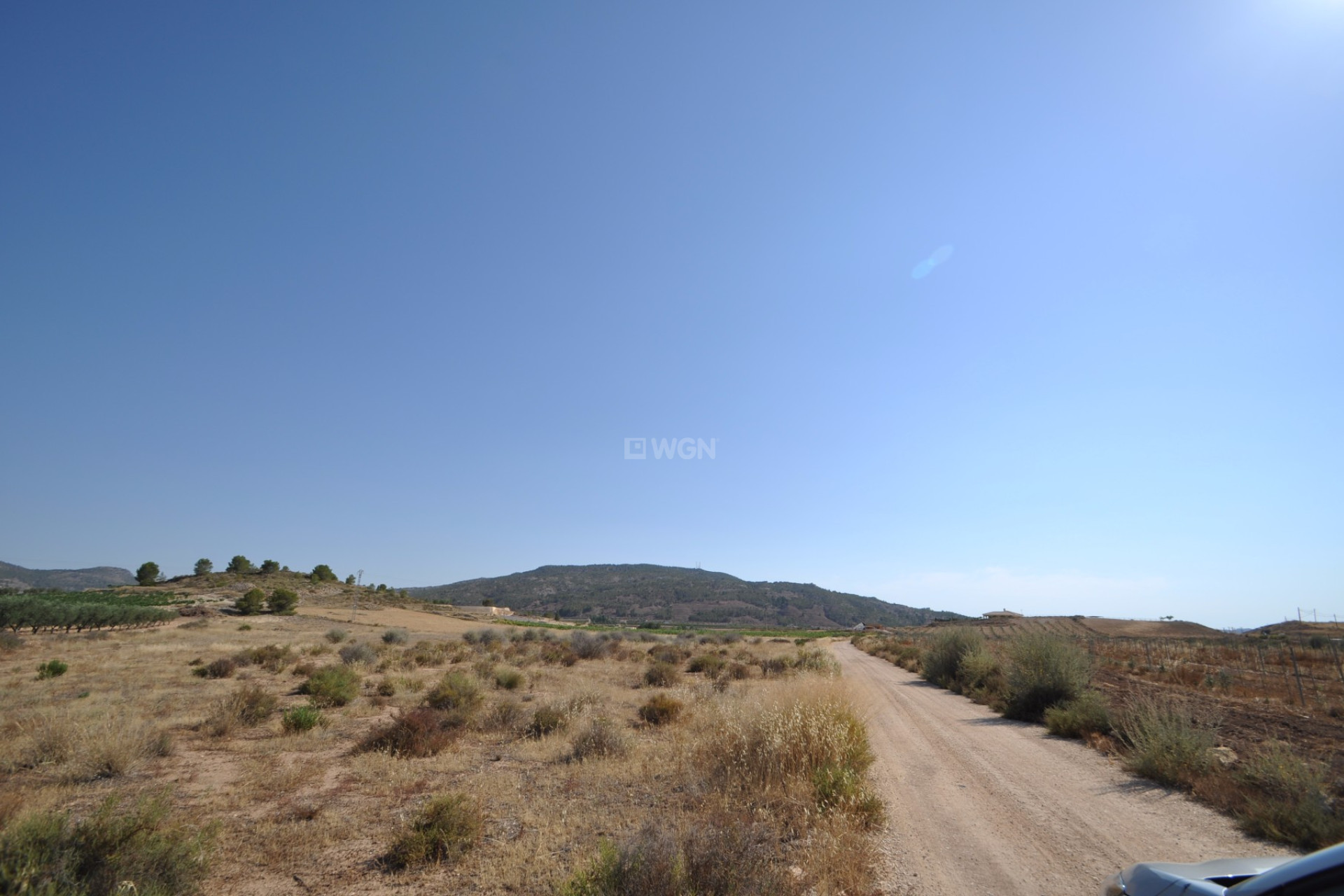Resale - Plot / Land - Pinoso - Inland